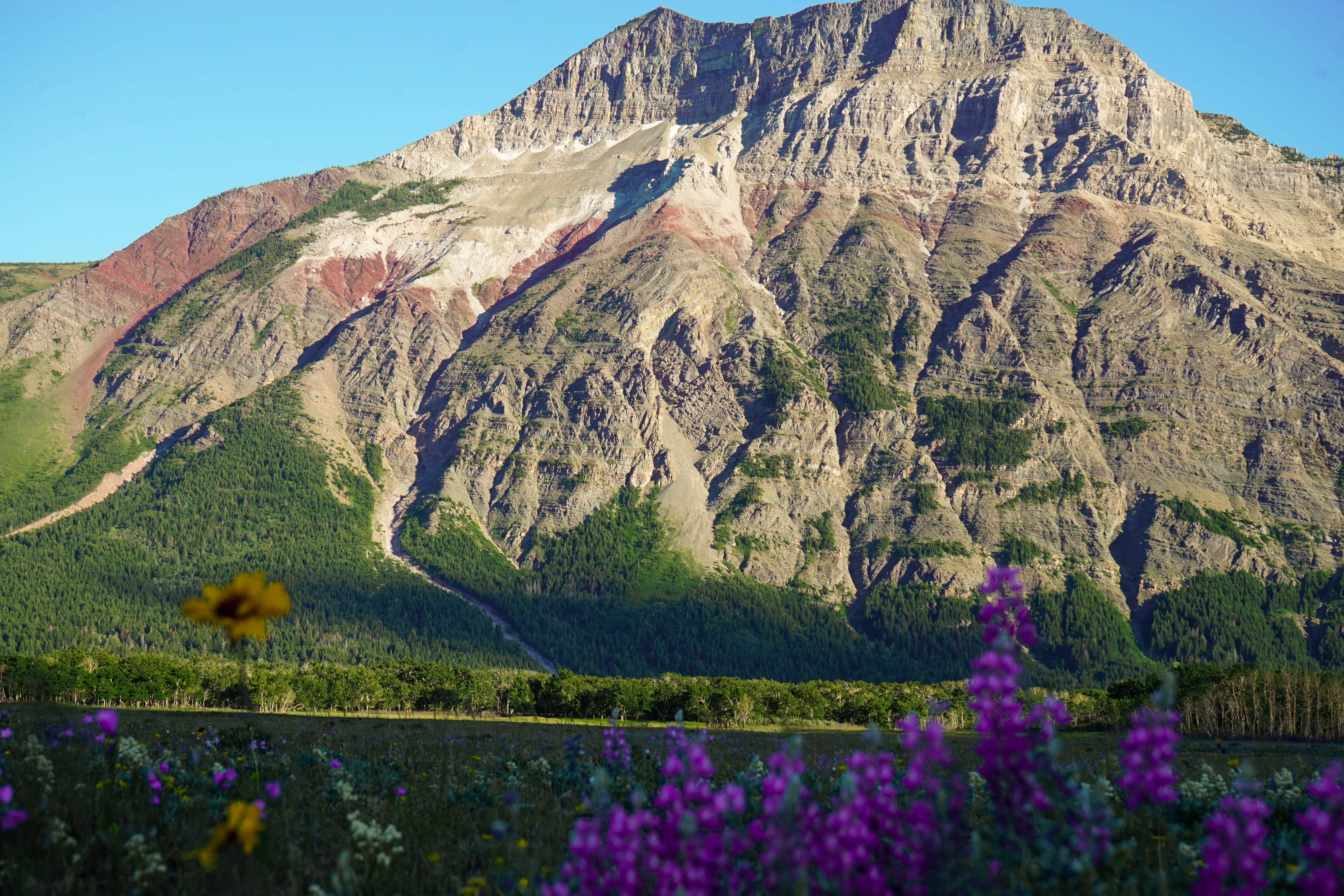 environment, sunlight, hill, near, daytime, slope, scenics - nature, blossom, beauty in nature, formation, mountain range, waterton, non-urban scene, tranquil scene, HD Wallpaper