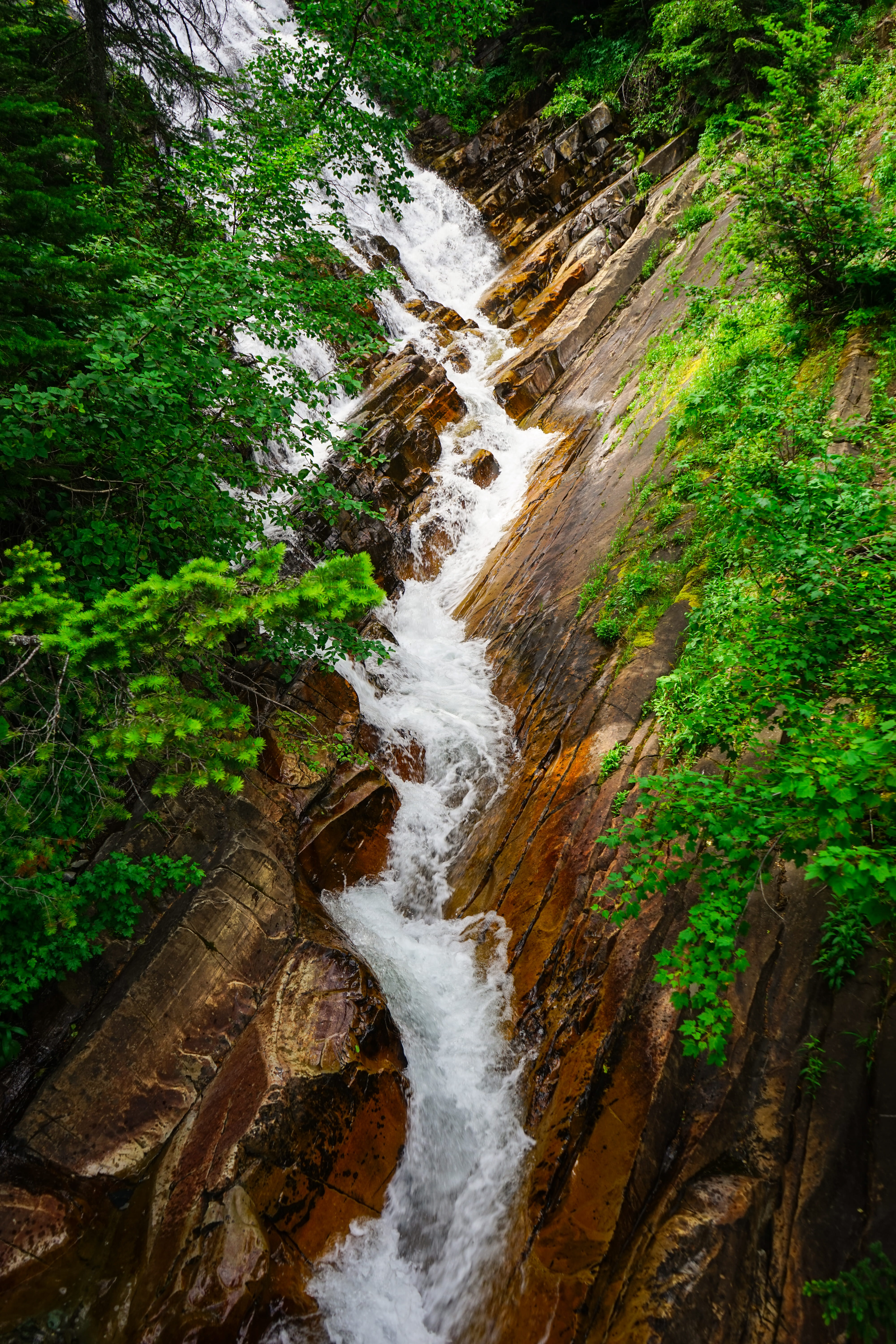 land, beauty in nature, growth, water, rock, forest, plant, outdoors, cliff, no people, rocky mountians, day, tree, waterton park, refresh, long exposure, Phone HD Wallpaper
