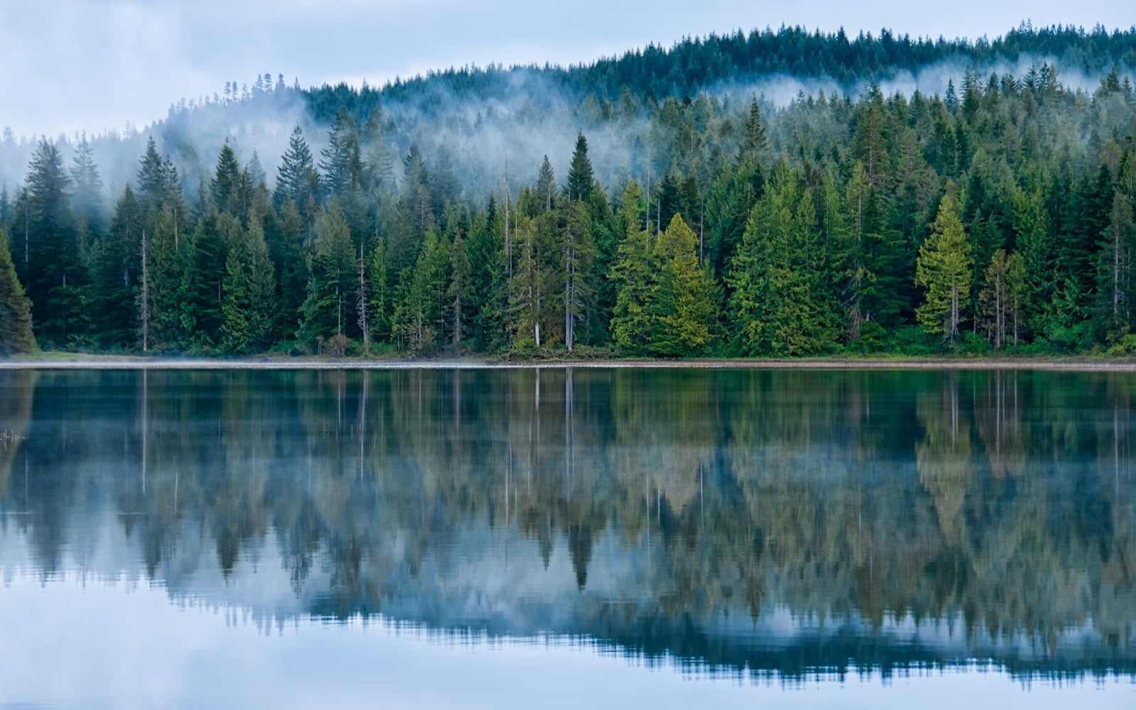 pine tree, tranquil scene, water, mountain, land, 720P, lake, green, blue, non-urban scene, forest, tranquility, plant, nature, beauty in nature, trees, HD Wallpaper