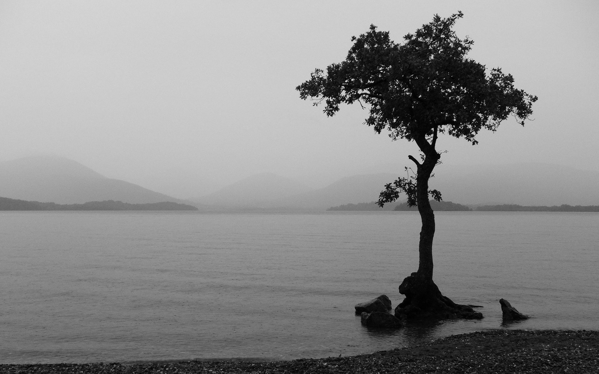calm, lake, hills, trees, monochrome, sea, tranquility, day, beauty in nature, mountain, scenics - nature, sky, clear sky, nature, tranquil scene, overcast, HD Wallpaper