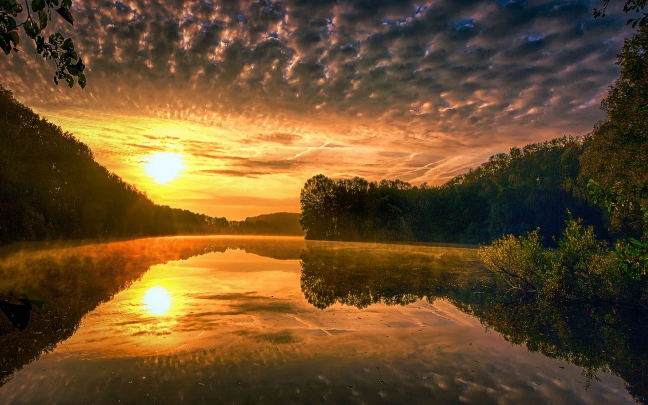 forest, calm, no people, 720P, non-urban scene, outdoors, clouds, landscape, plant, tranquility, tranquil scene, waterfront, nature, sky, beauty in nature, HD Wallpaper
