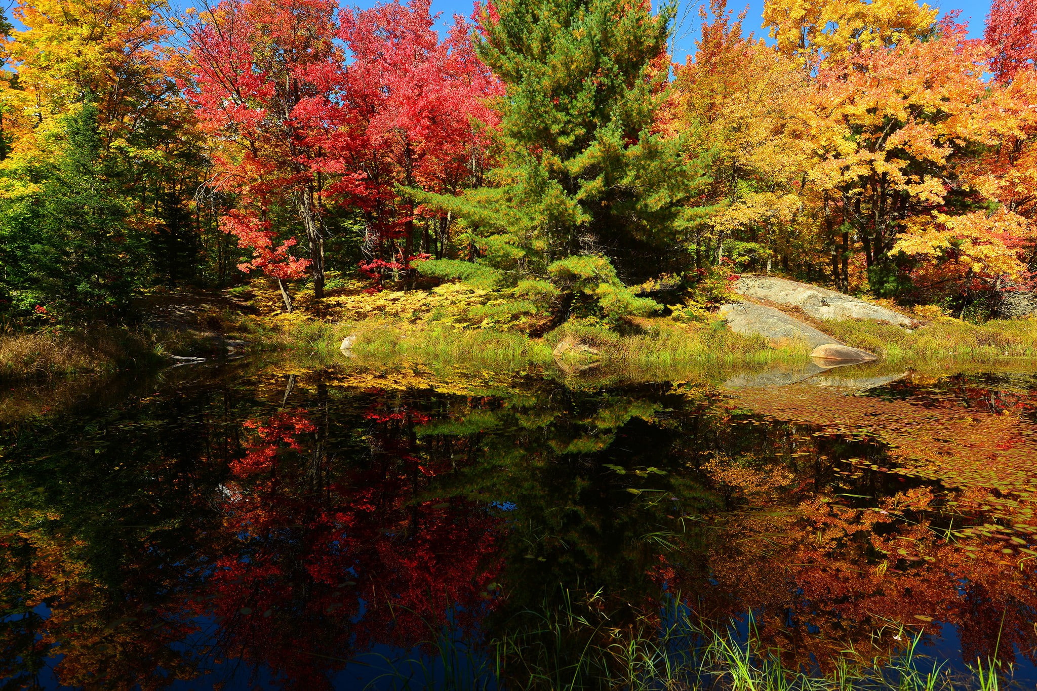 autumn, pond, the sky, 1080P, forest, stones, trees, HD Wallpaper