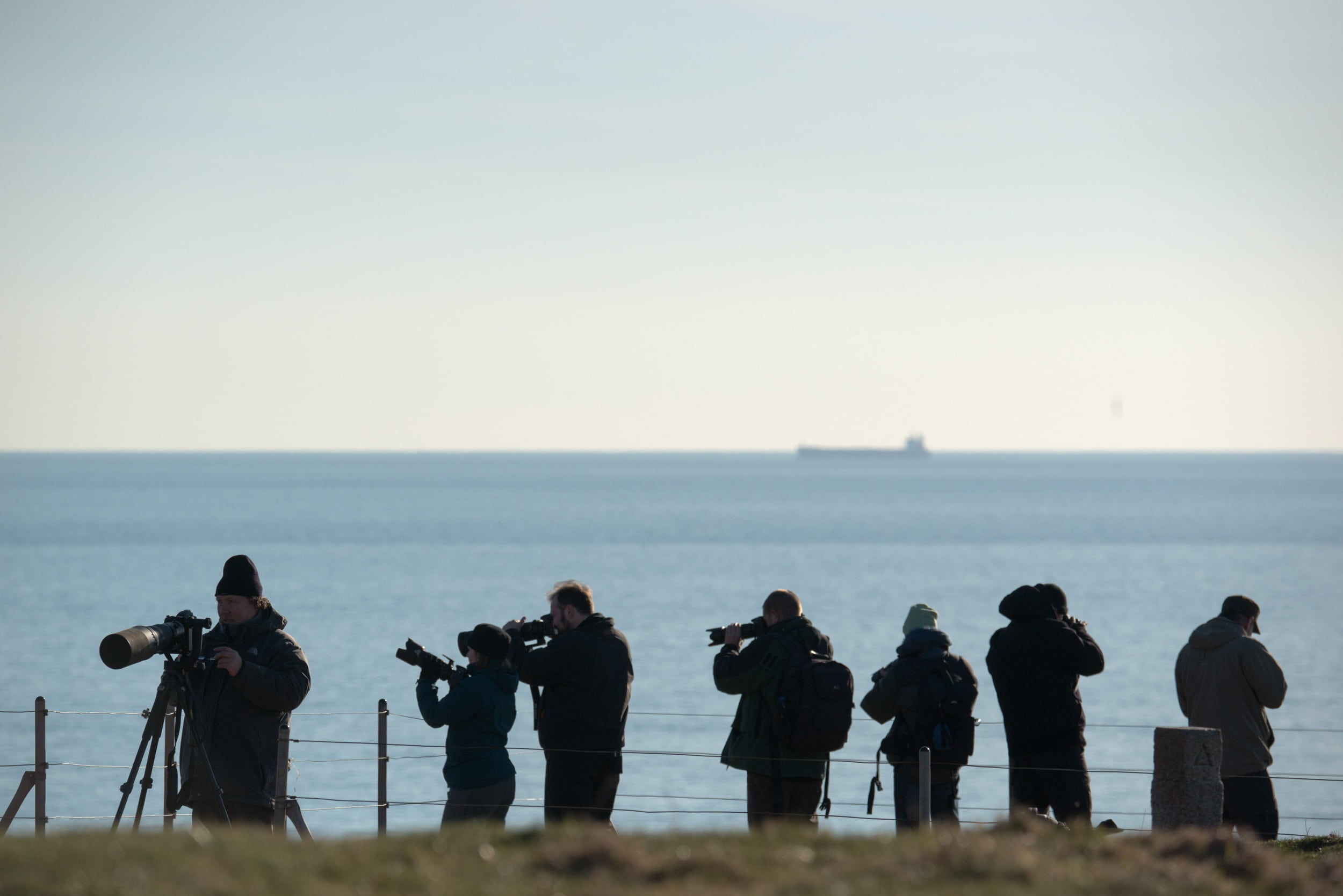 nature, helgoland, clear sky, leisure activity, copy space, women, real people, photographing, bird photography, telephoto lenses, sea, 1080P, standing, HD Wallpaper