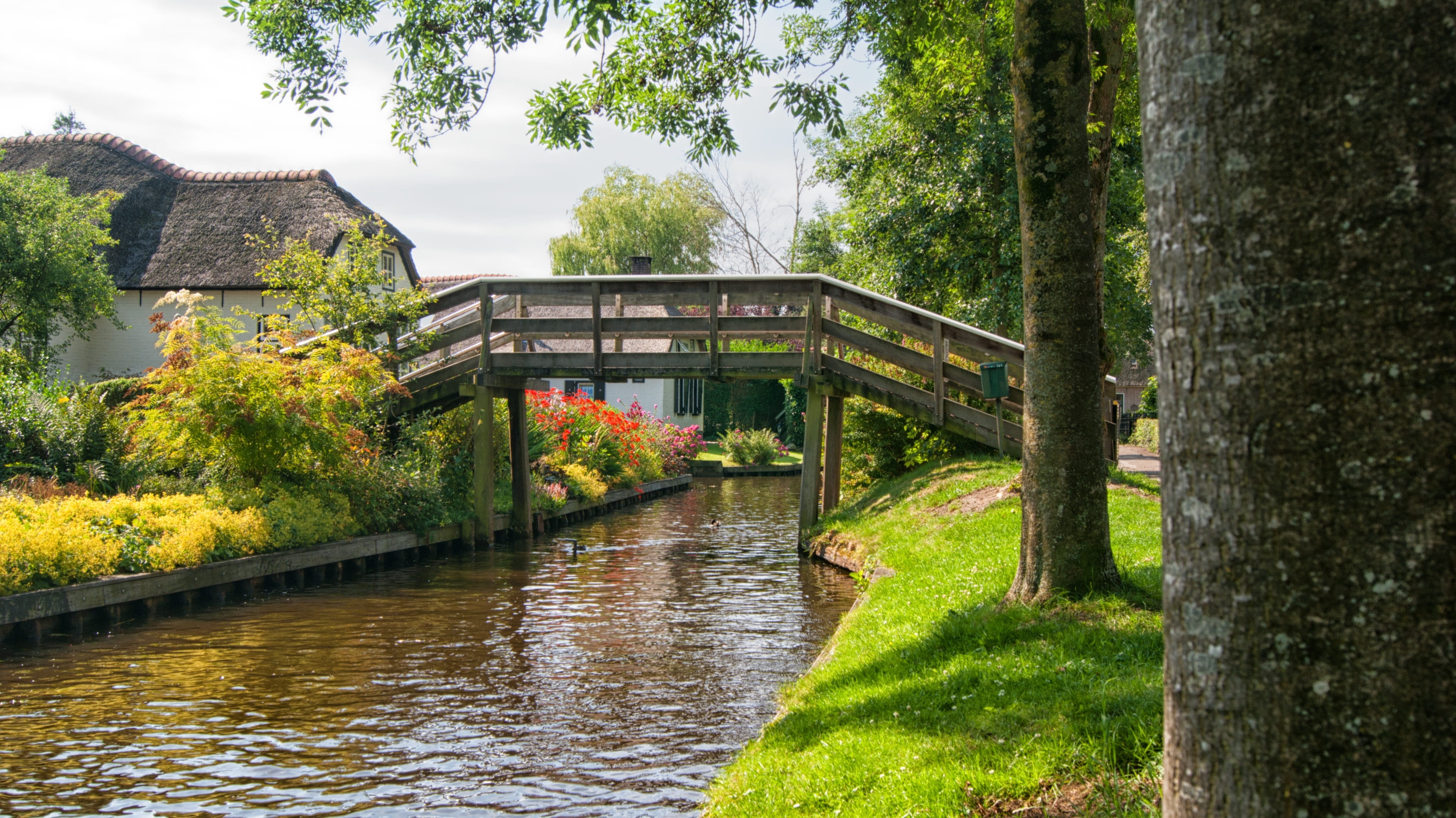 outdoors, building exterior, bridge - man made structure, trunk, day, sun, beauty in nature, giethoorn, architecture, netherlands, no people, bridge, green color, HD Wallpaper