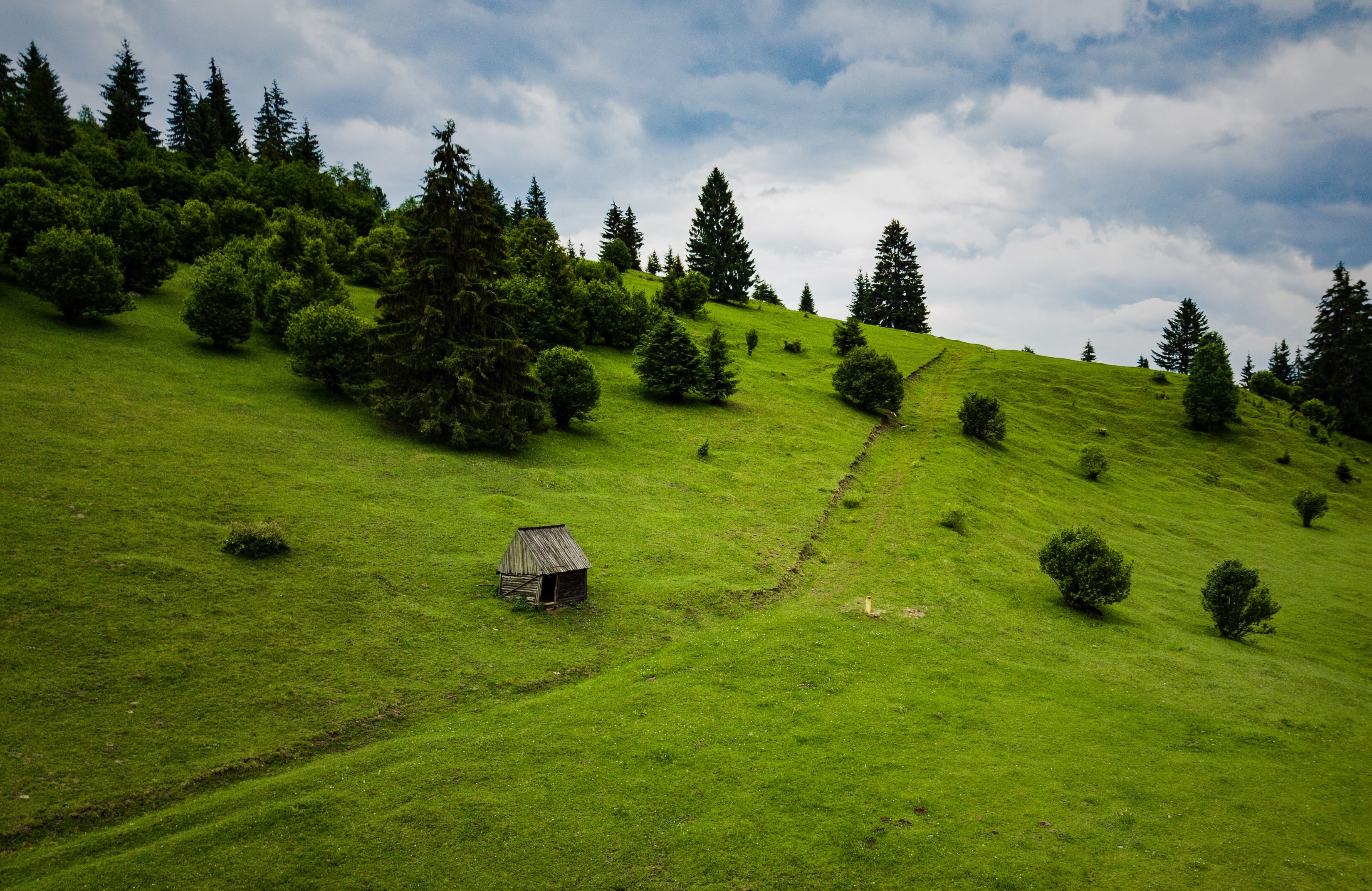 landscape, cloudy, tree, field, green color, sky, dn12, 2K, growth, village, environment, outdoors, remote, no people, grassland, comuna sândominic, grass, HD Wallpaper