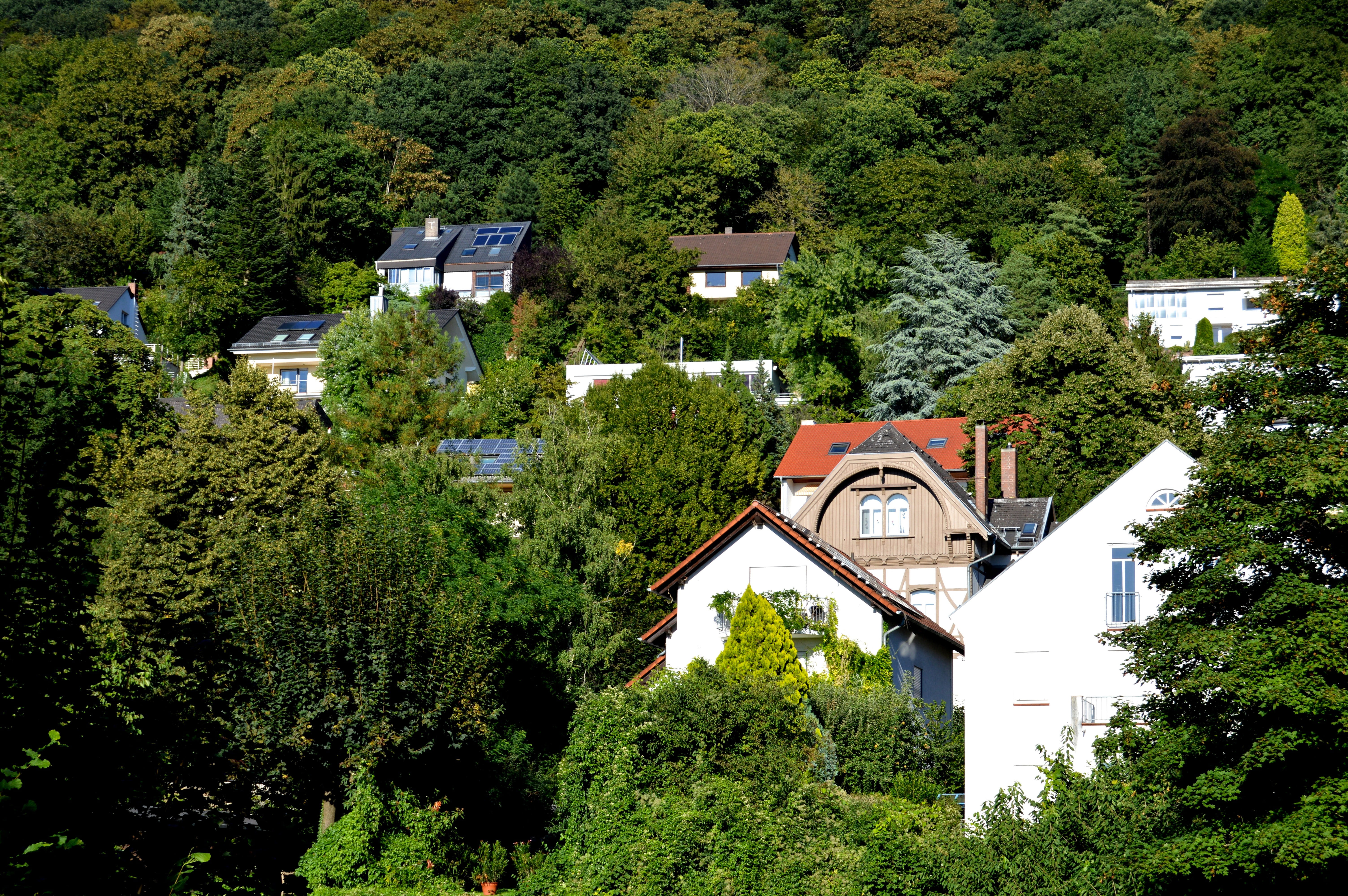 house, nature, 5K, building exterior, building, green color, Live, facades, growth, outdoors, lush foliage, city, plant, hillside location, residential district, HD Wallpaper