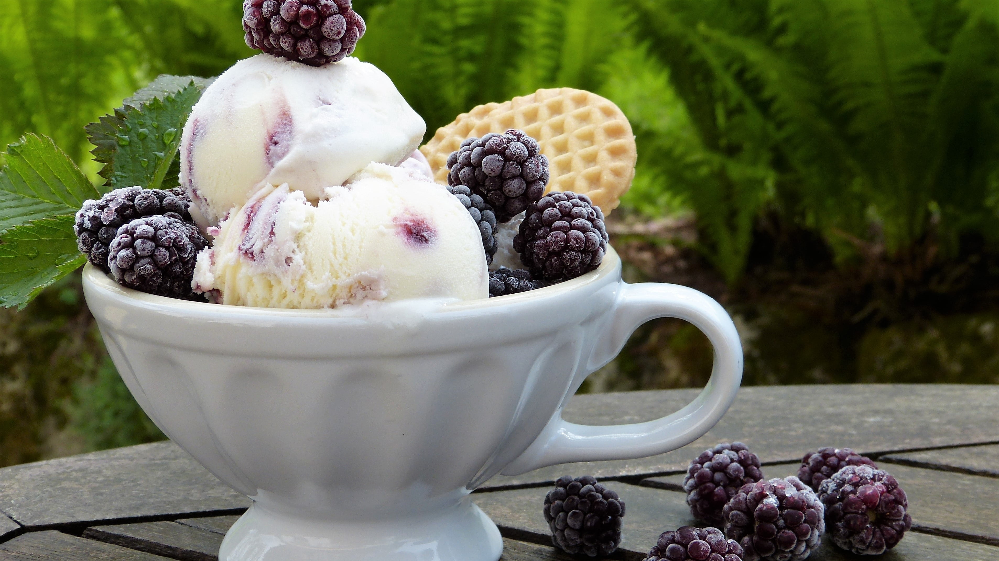 sweet, stevia, fruits, milk product, out, ready-to-eat, calories, 2K, day, sugar, ice, indulgence, sweet dish, cream, healthy eating, outdoors, diet, table, HD Wallpaper