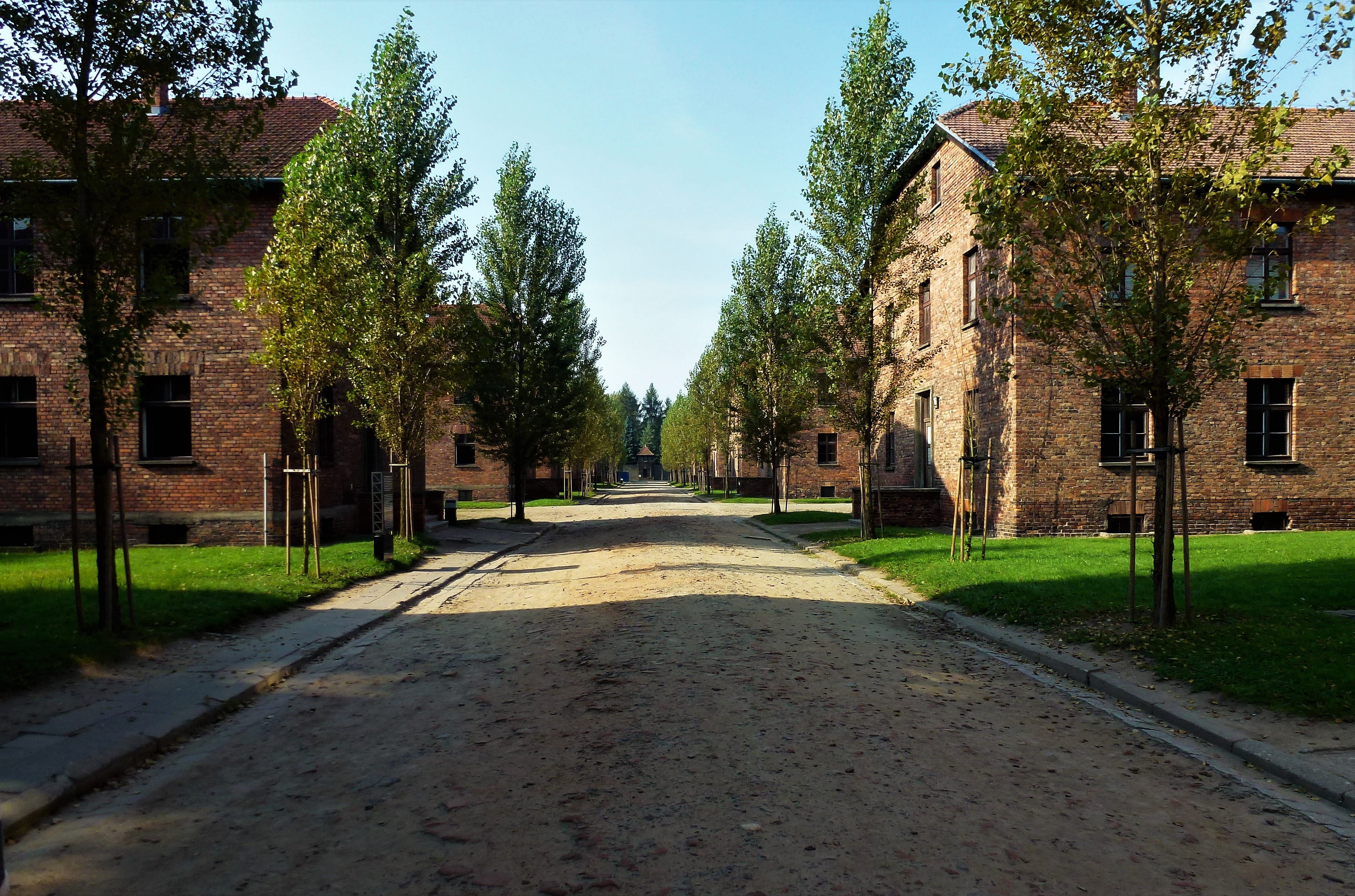 street, outdoor, building exterior, brick, plant, building, built structure, roadway, auschwitz, outdoors, diminishing perspective, footpath, horizontal, HD Wallpaper
