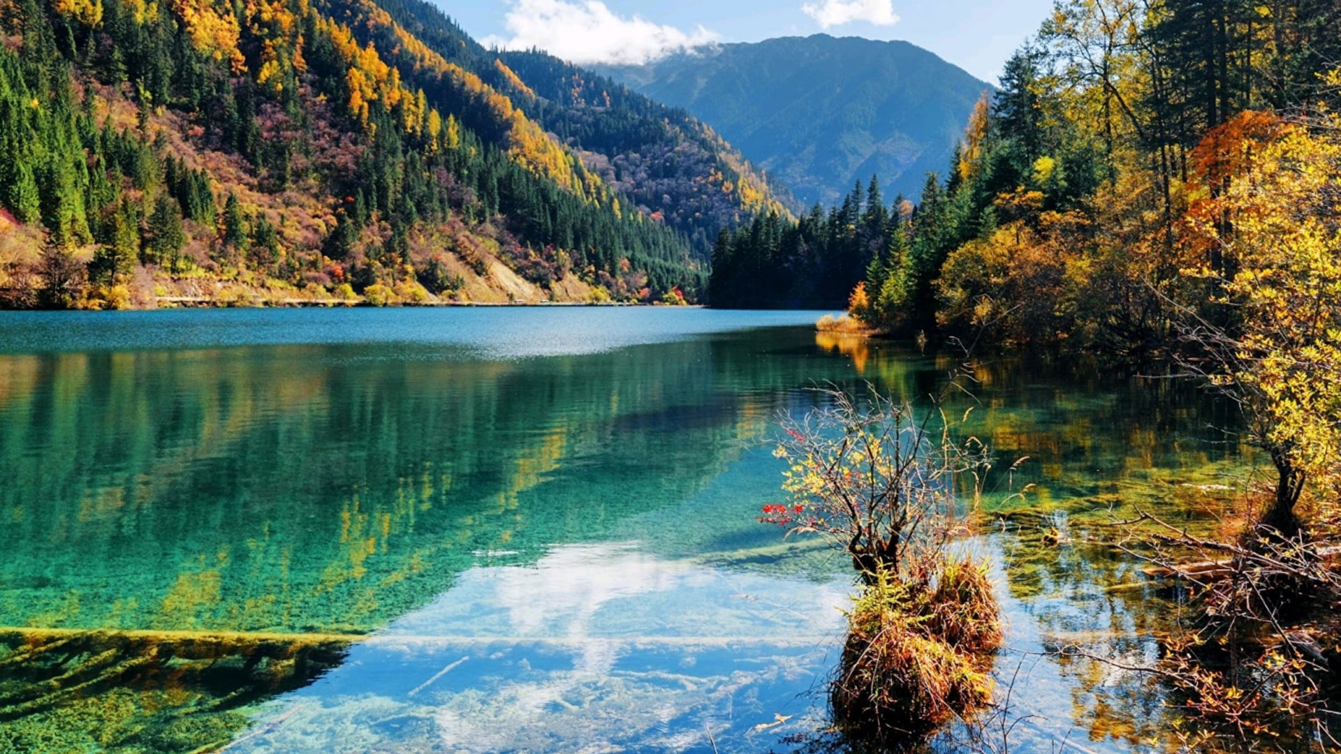 turquoise colored, 1080P, wilderness, min shan mountain range, no people, beauty in nature, autumn, plant, tranquil scene, lake, mountain lake, tree, crystal clear, HD Wallpaper
