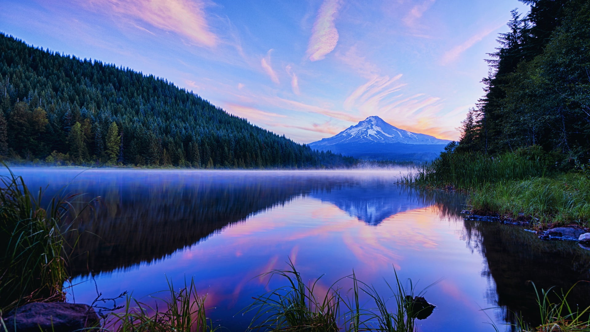 scenics - nature, tree, pine woodland, forest, water, oregon, mountain lake, environment, tranquil scene, no people, mountain peak, landscape, cloud - sky, HD Wallpaper