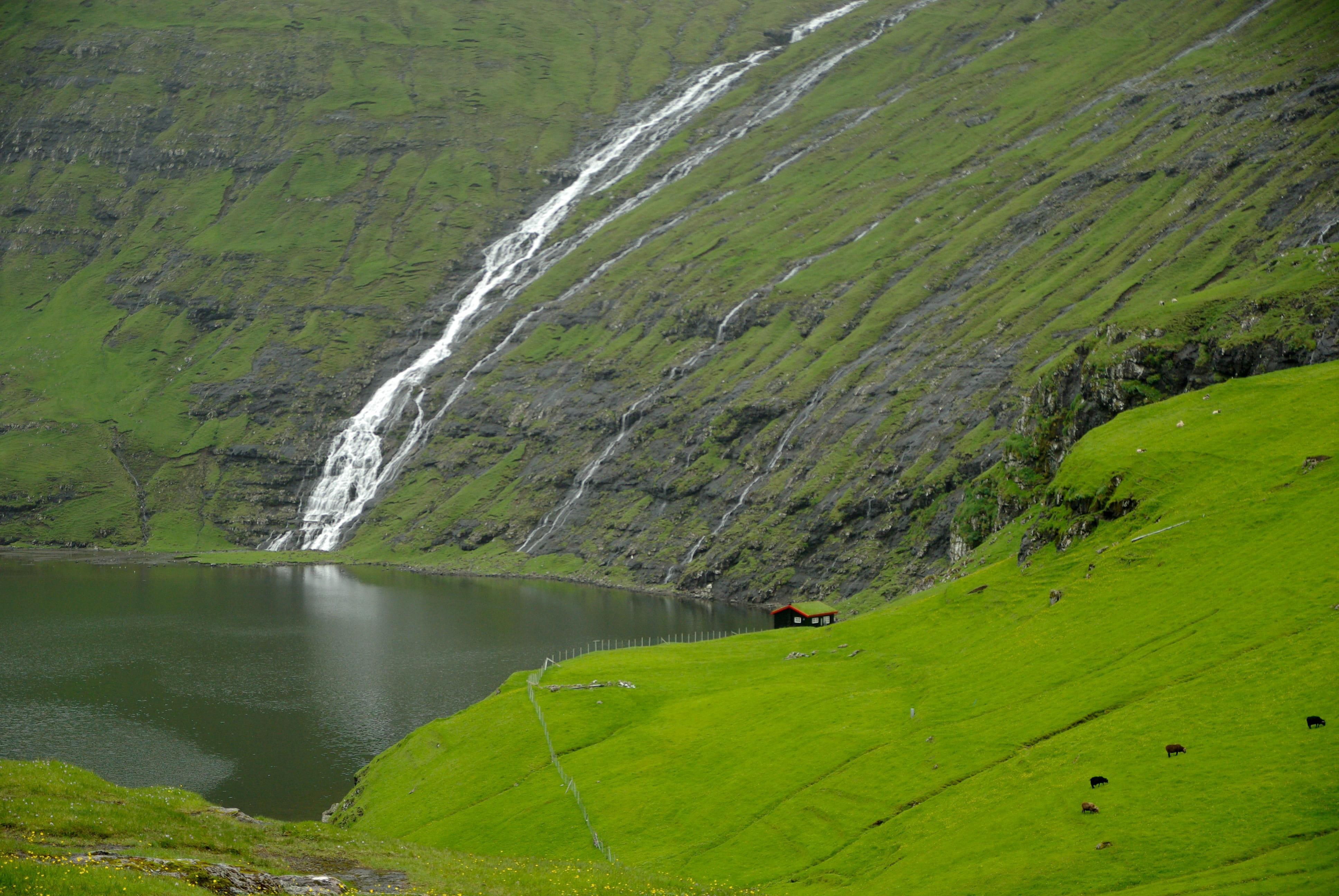 green color, 4K, idyllic, non-urban scene, day, land, plant, mountain, environment, beauty in nature, water, daytime, remote, flowing water, fjord, waterfalls, HD Wallpaper