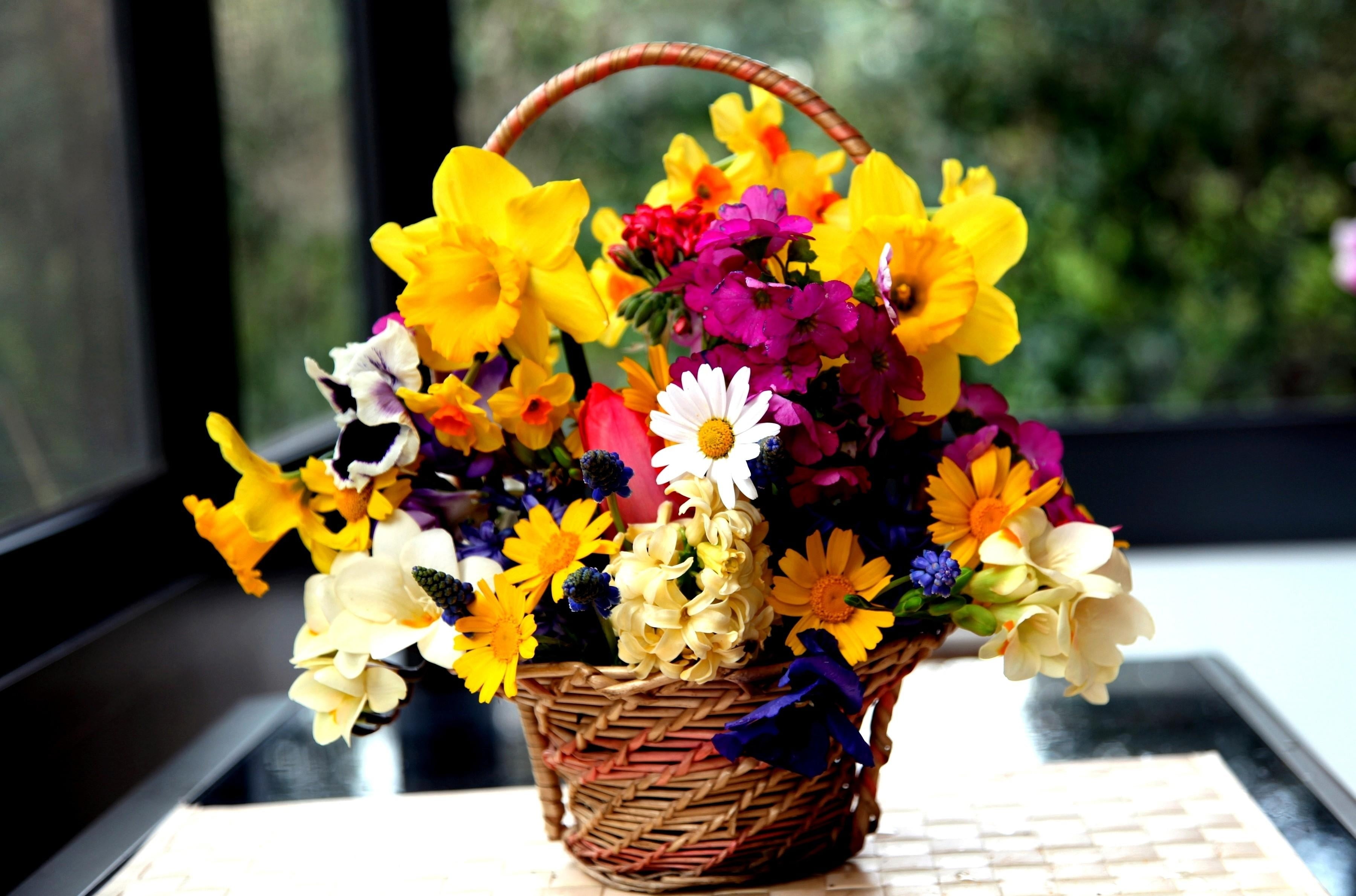 plant, flowering plant, bunch, flowers, freshness, viola, flower, bouquet, daffodil, outdoors, softness, leaf, flower arrangement, multi Colored, inflorescence, HD Wallpaper