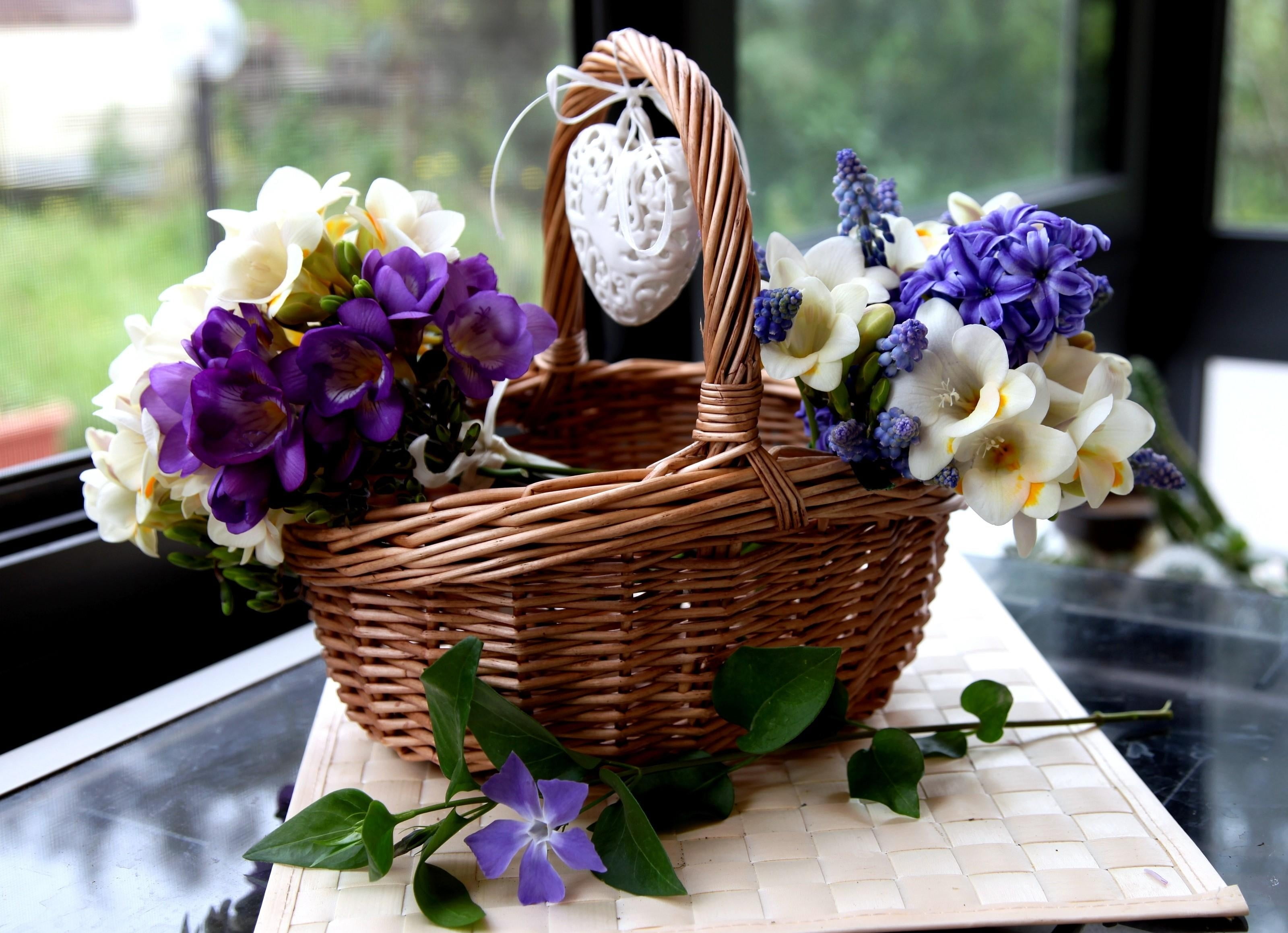 day, gift, freshness, muscari, 2K, rose - Flower, romance, beauty in nature, flowering plant, flower, celebration, ornate, basket, no People, elegance, HD Wallpaper