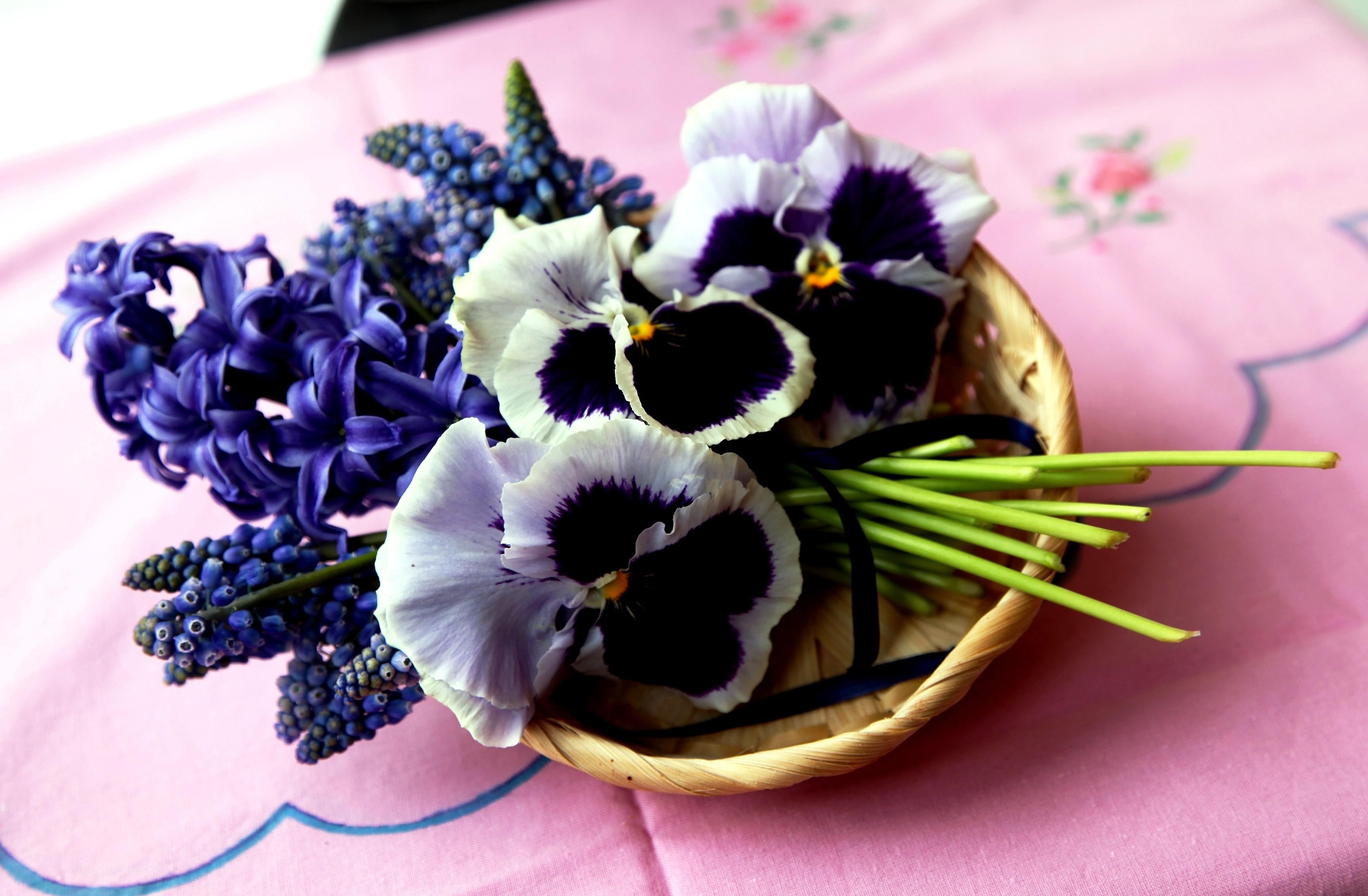no People, green Color, decoration, purple, nature, vulnerability, flowering plant, food, white, wood - Material, easter, pink Color, petal, growth, 2K, HD Wallpaper