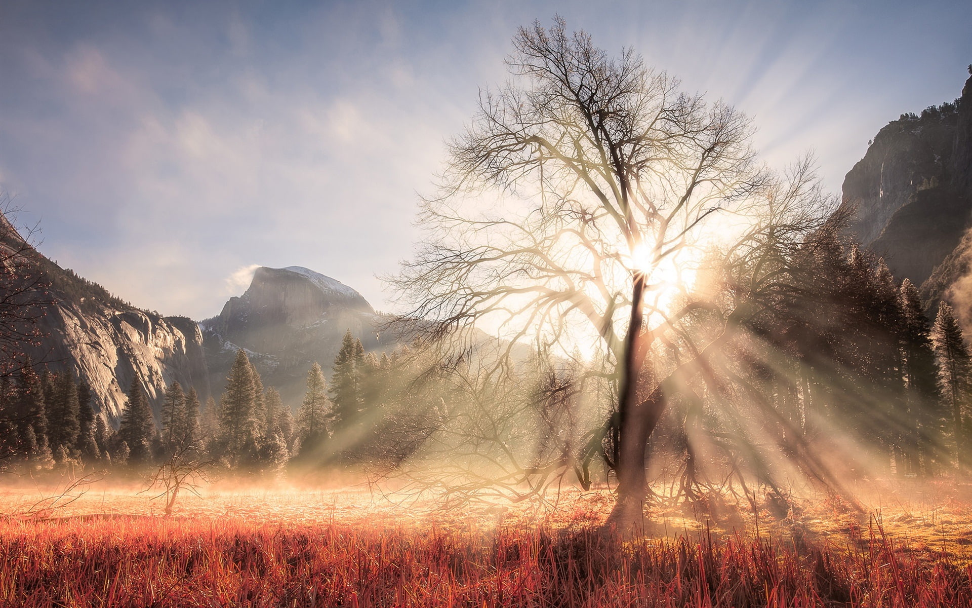 California, Yosemite, Mountains, Tree, National, bare, Winter, Park, Rays, 1080P, Sun, USA, HD Wallpaper
