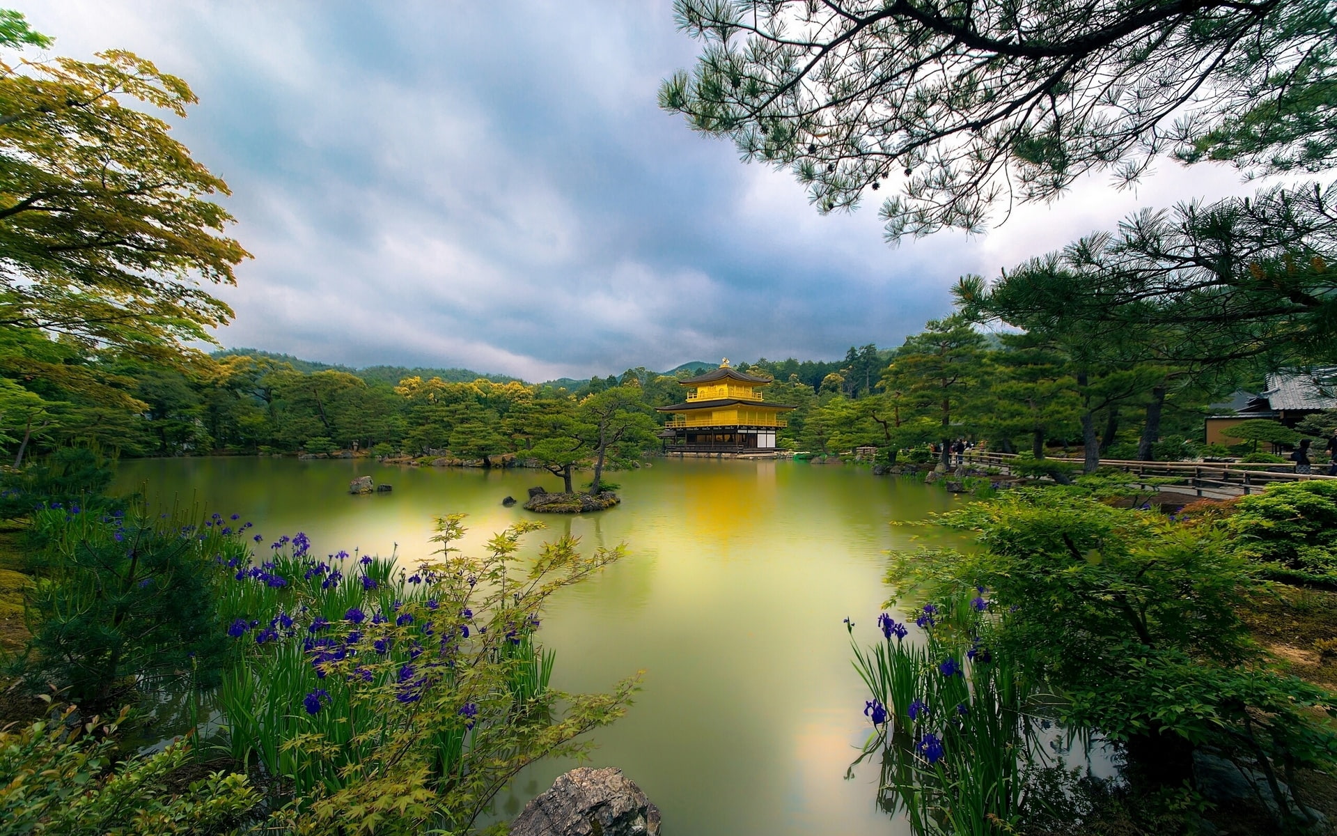 Pavilion, Flowers, 1080P, Lake, Golden, Kyoto, Trees, Japan, Park, Temple, HD Wallpaper