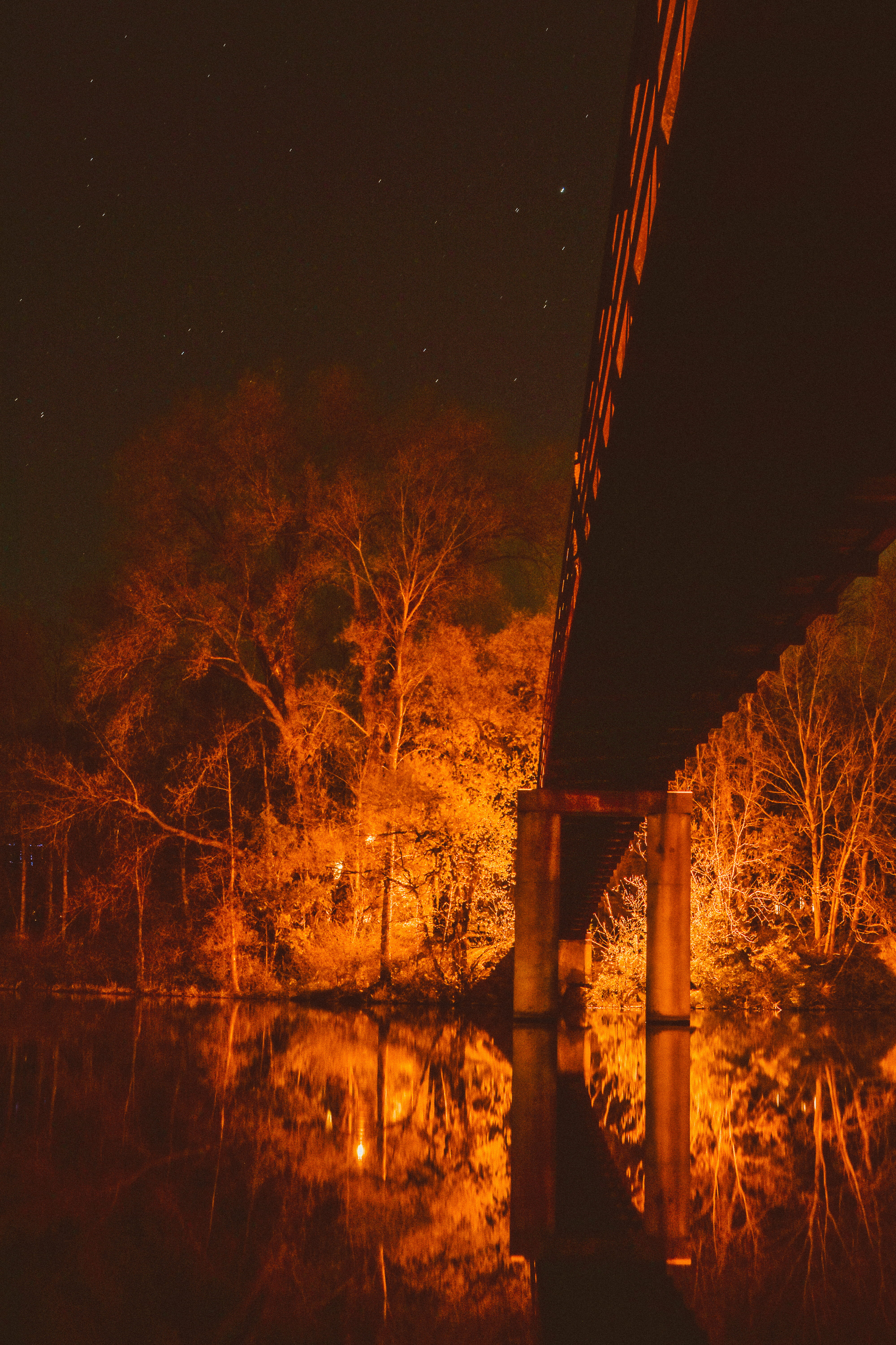 tree, mood, nature, land, bare tree, wisconsin, lake, relax, long-exposure, plymouth, light, transportation, bridge - man made structure, 5K, plant, illuminated, Phone HD Wallpaper