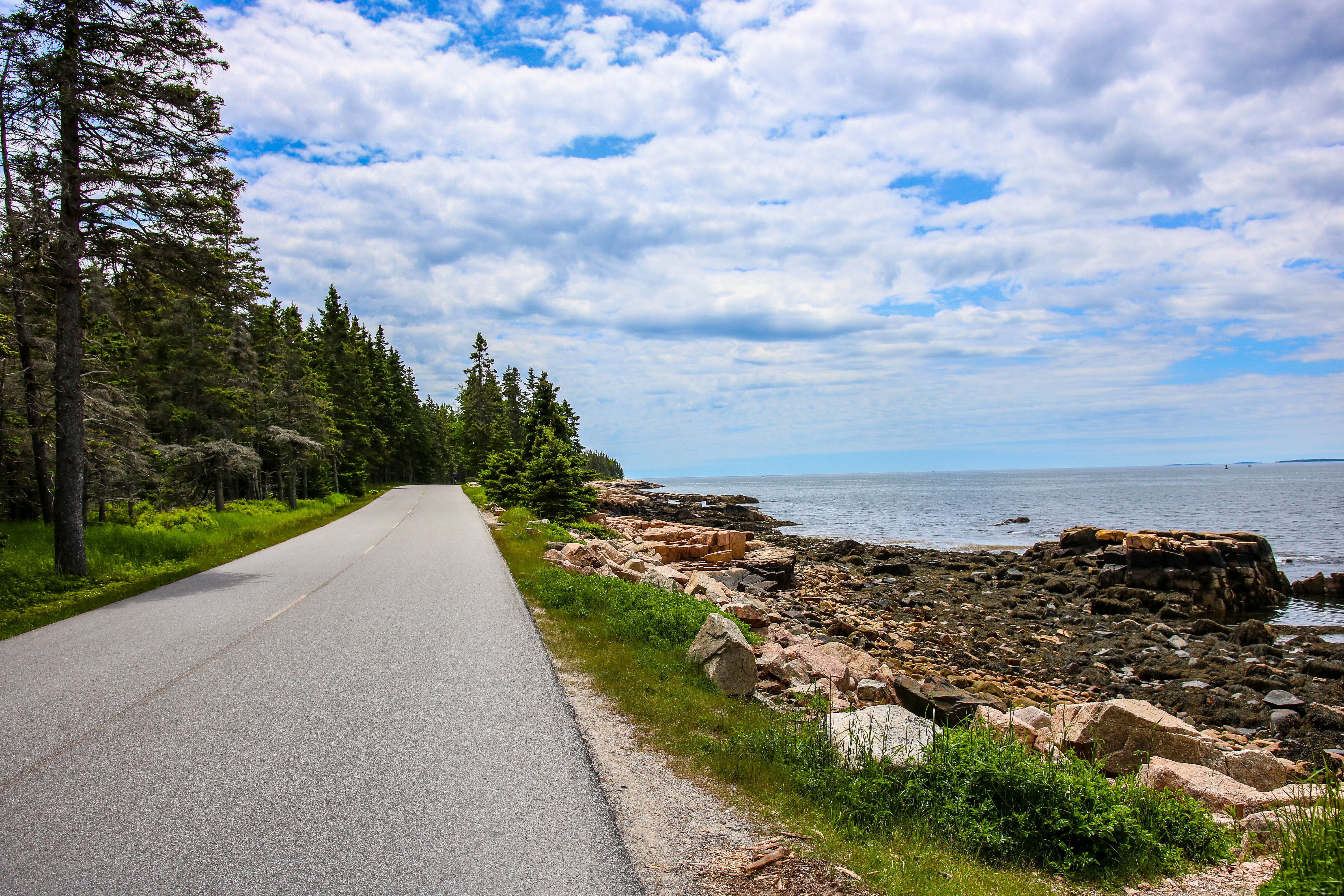 beach, direction, tree, acadia national park, ocean, new england, maine, cloud - sky, trees, tranquility, outdoors, tranquil scene, diminishing perspective, HD Wallpaper