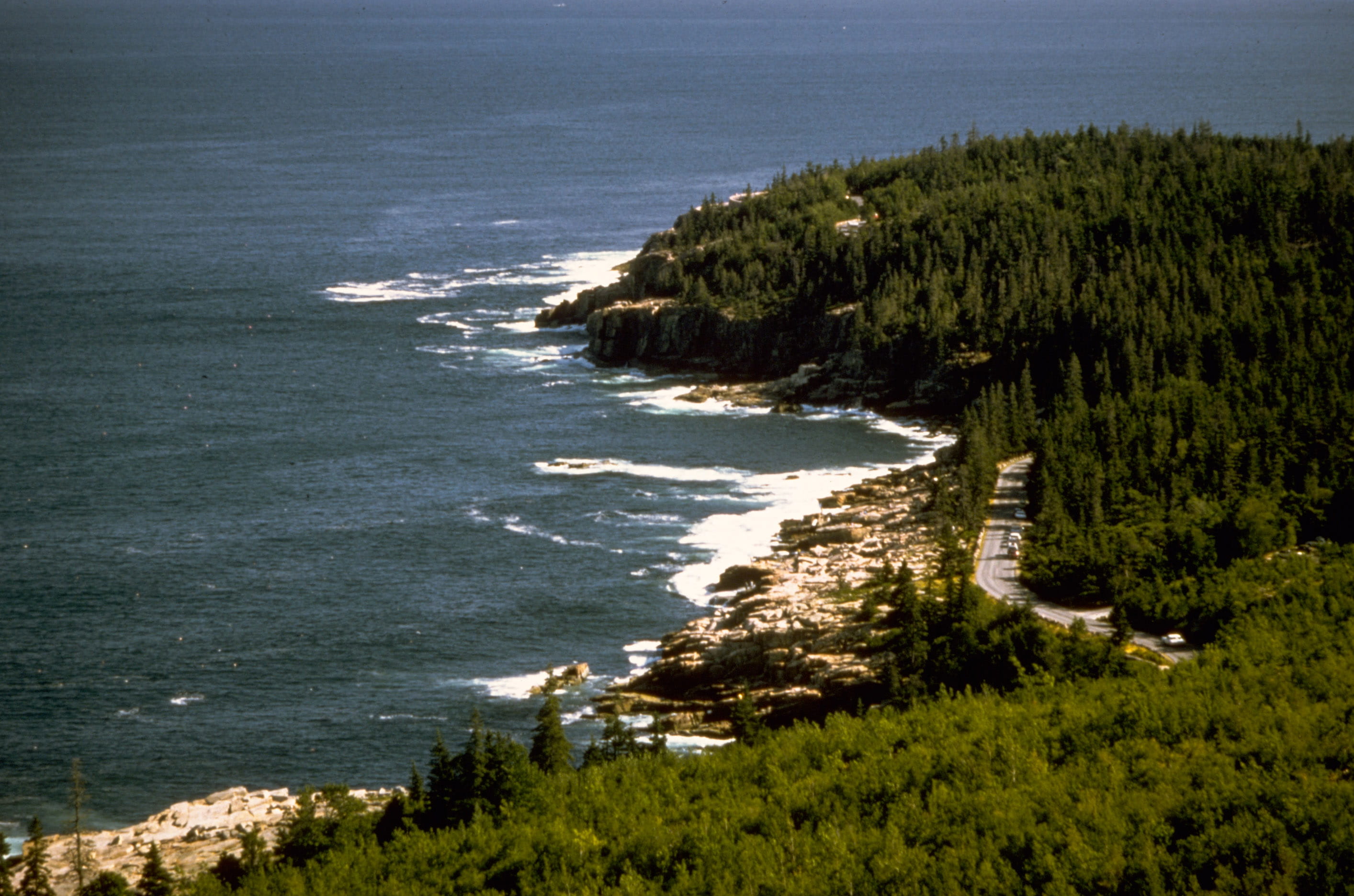 beauty in nature, scenics, sea, tranquil scene, sunlight, national, Landscape, water, park, acadia, growth, Shoreline, scenics - nature, Acadia National Park, HD Wallpaper