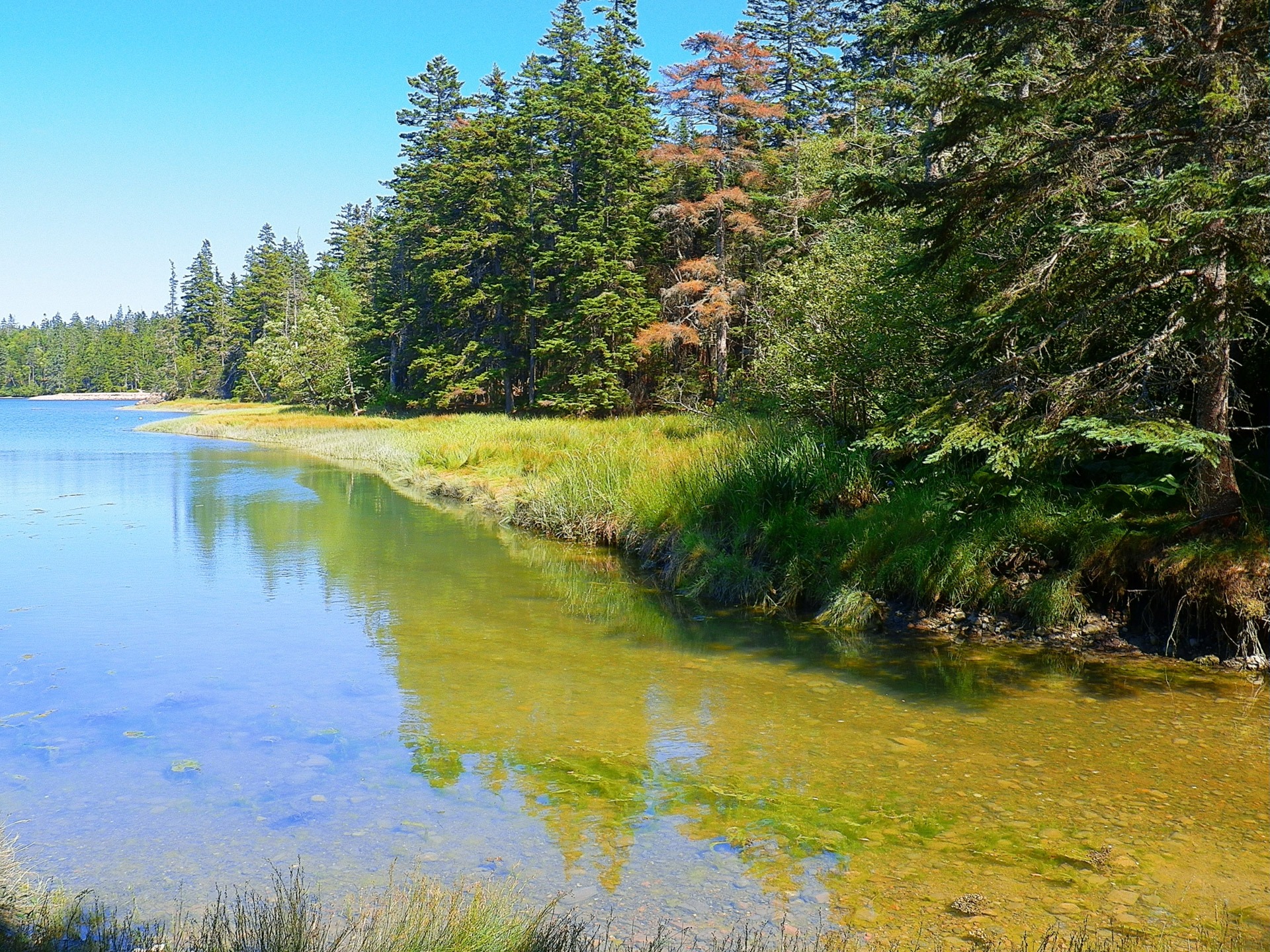 idyllic, tranquil scene, acadia national park, tranquility, coast, sea, maine, outdoors, beauty in nature, ocean, fishing, waterfront, lake, green color, HD Wallpaper