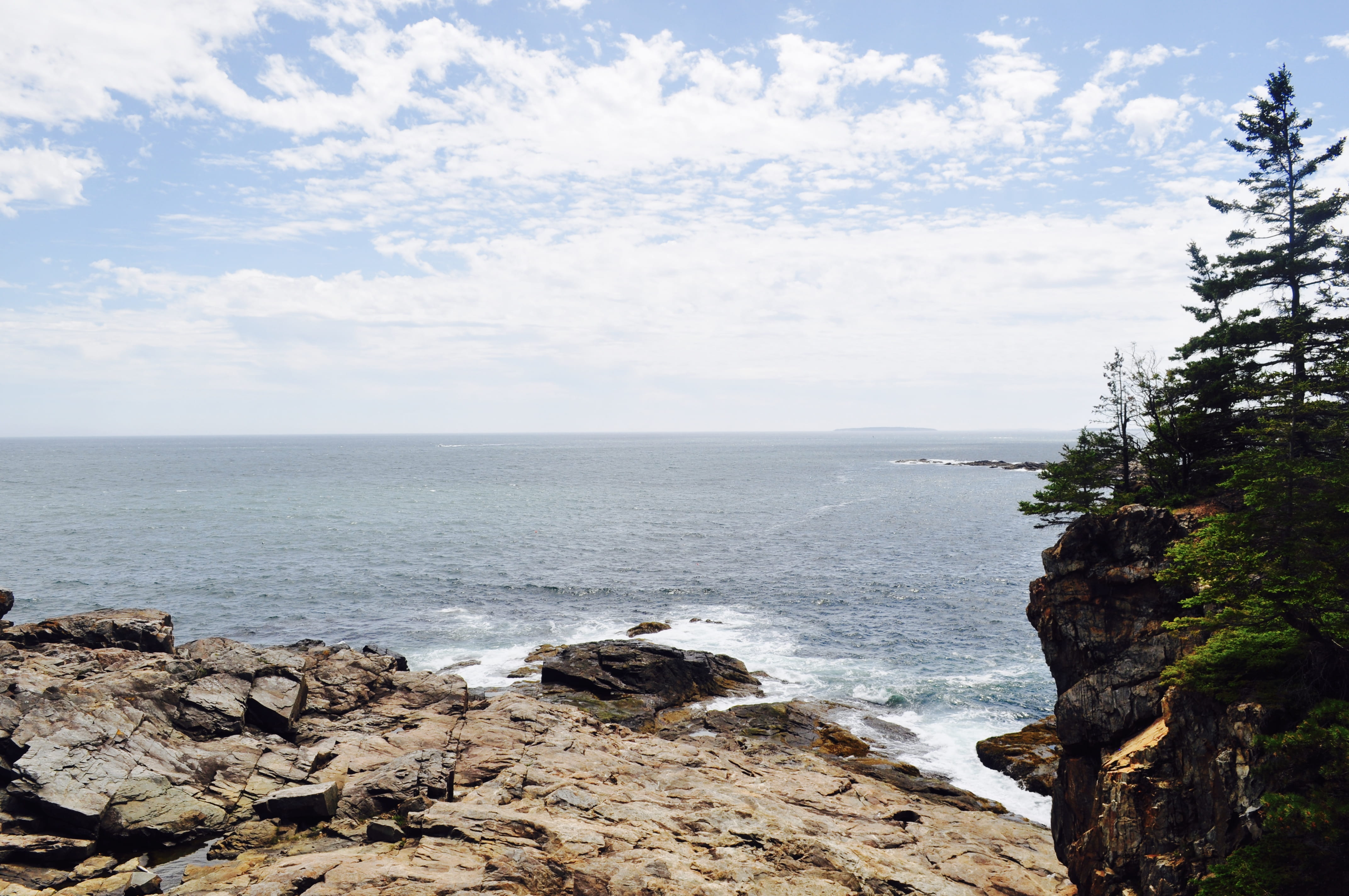 4K, beach, rocky, downeast, cliff, scenics - nature, rock, pine, united states, sky, outdoors, nature, maine, great head trail (acadia national park), HD Wallpaper