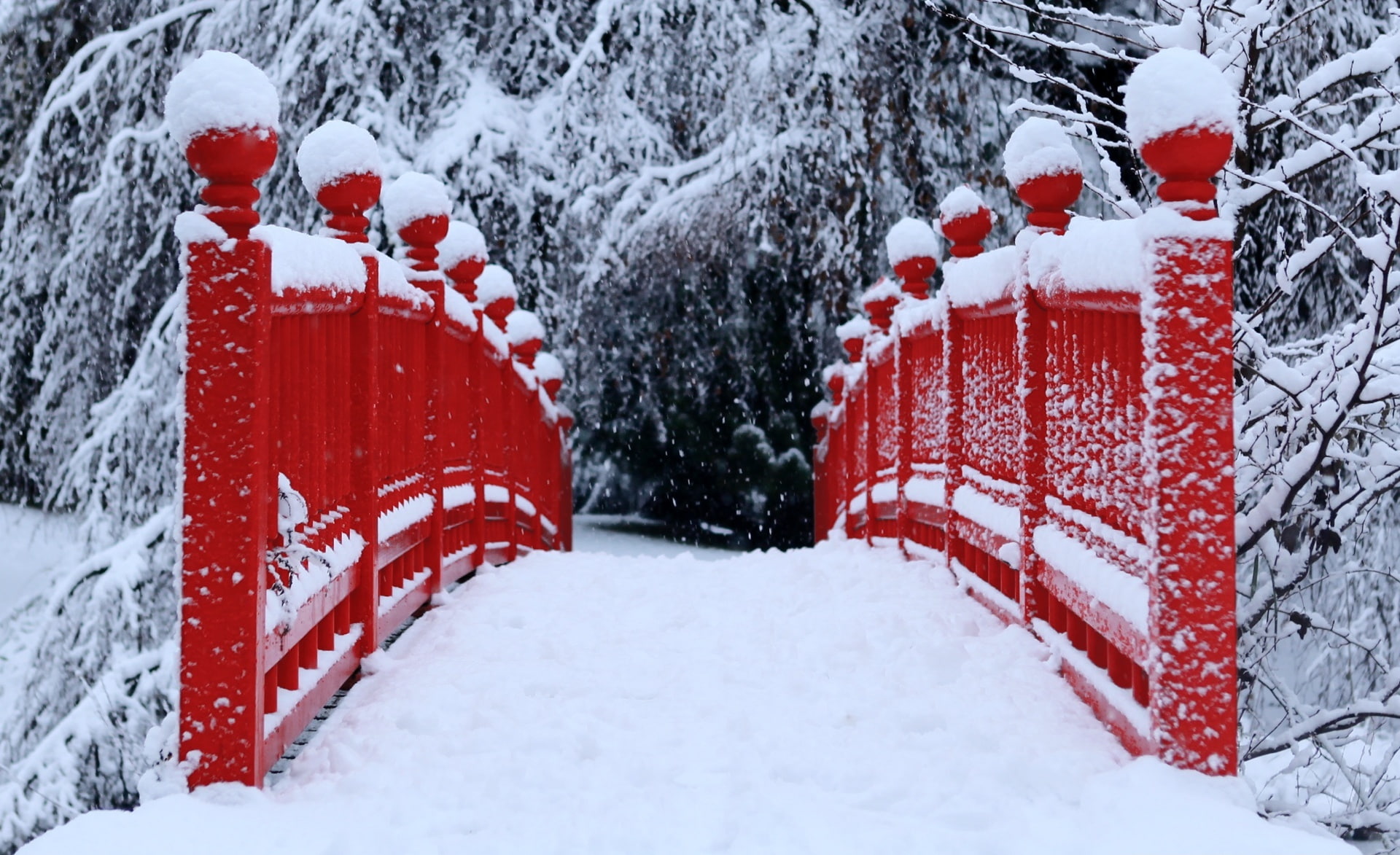 cold temperature, beauty in nature, no people, outdoors, plant, extreme weather, covering, Snow, Bridge, White, nature, Seasons, Japanese, foot, 1080P, HD Wallpaper