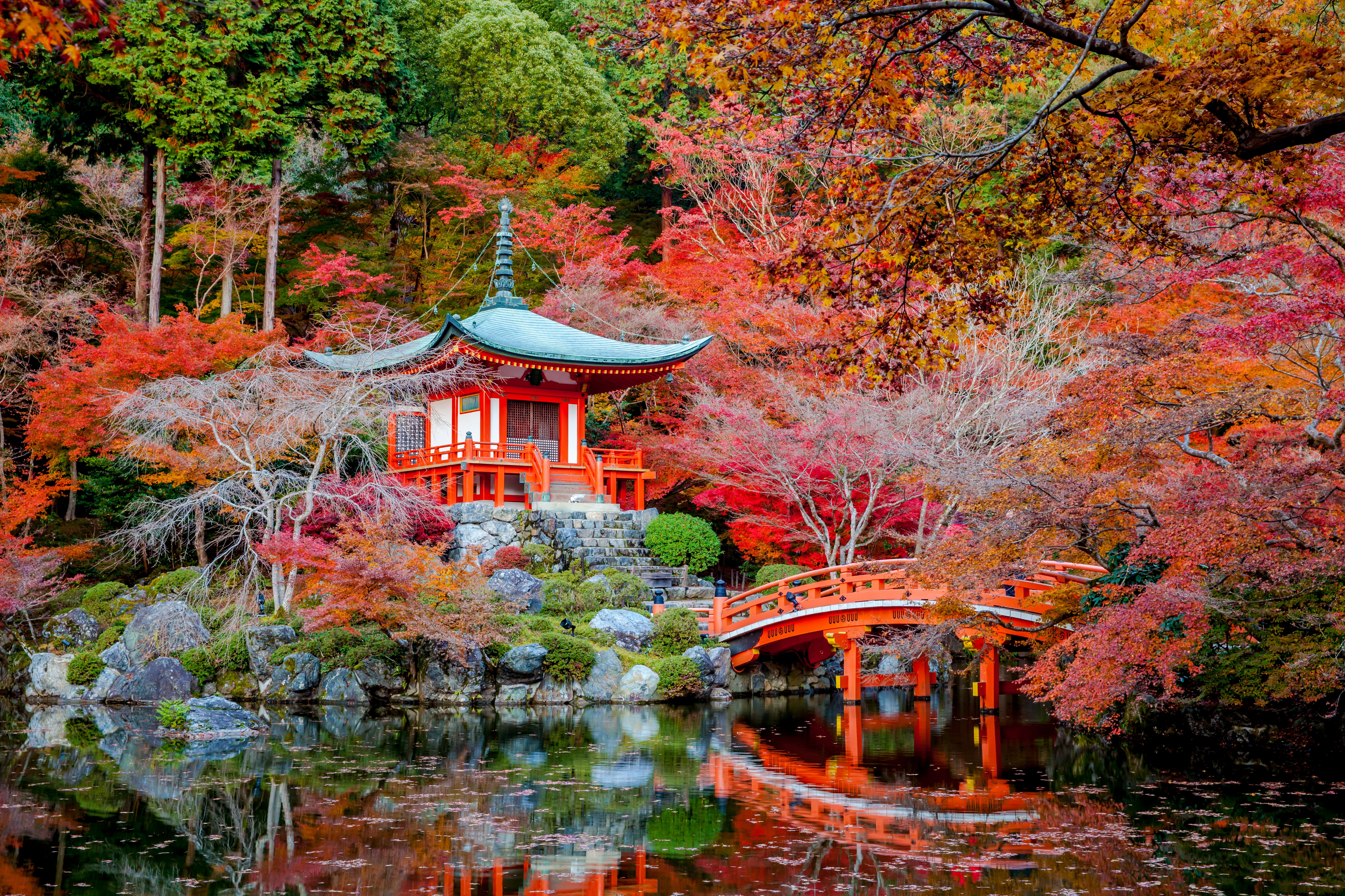lake, garden, tranquility, bridge - man made structure, shrine, autumn collection, reflection, 5K, footbridge, stream, leaf, outdoors, petals, plant, stairs, HD Wallpaper