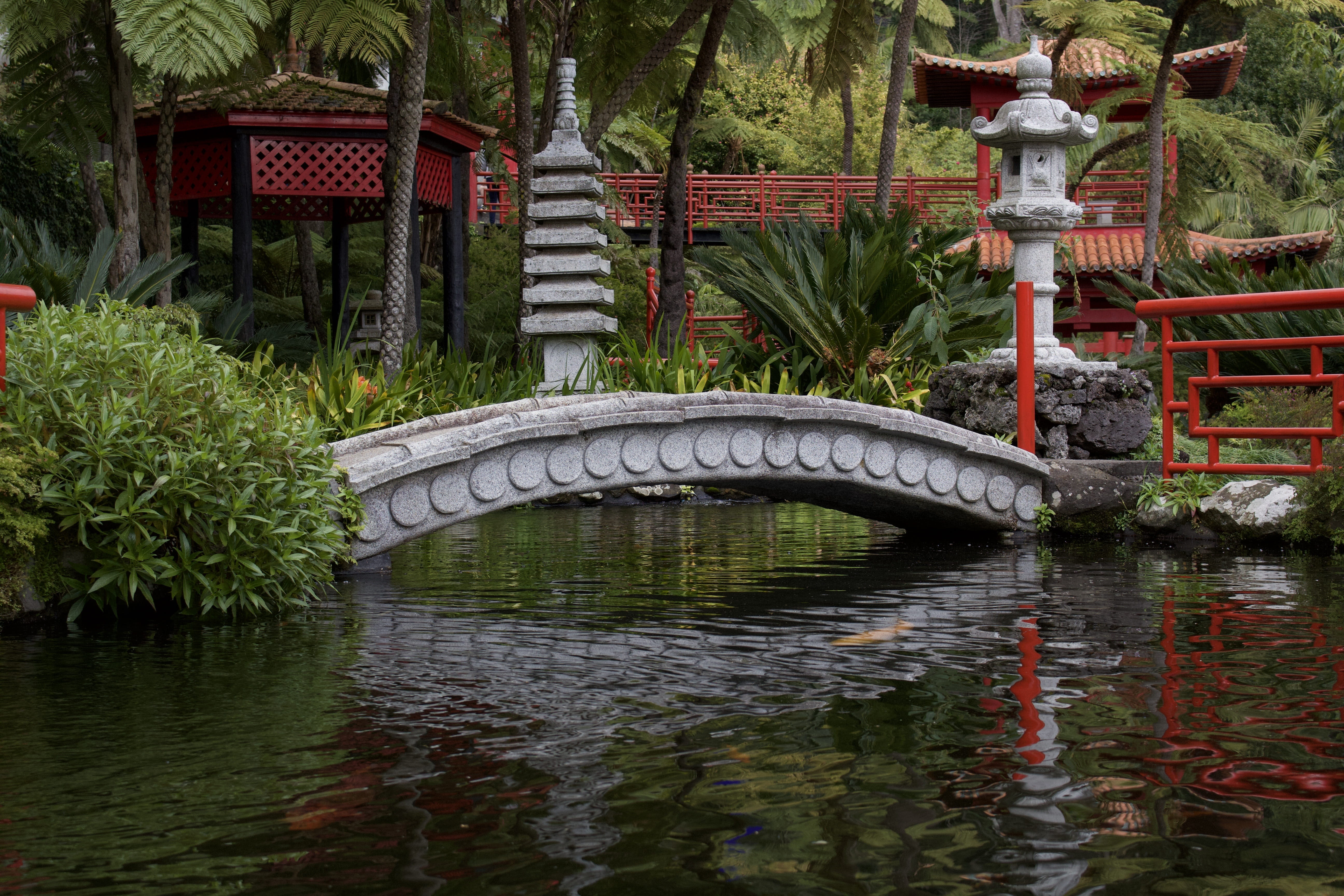 pond, nature, water, japanese garden, arch bridge, no people, scenic, reflection, outdoors, botany, koi, day, 5K, footbridge, lake, connection, arch, garden, HD Wallpaper