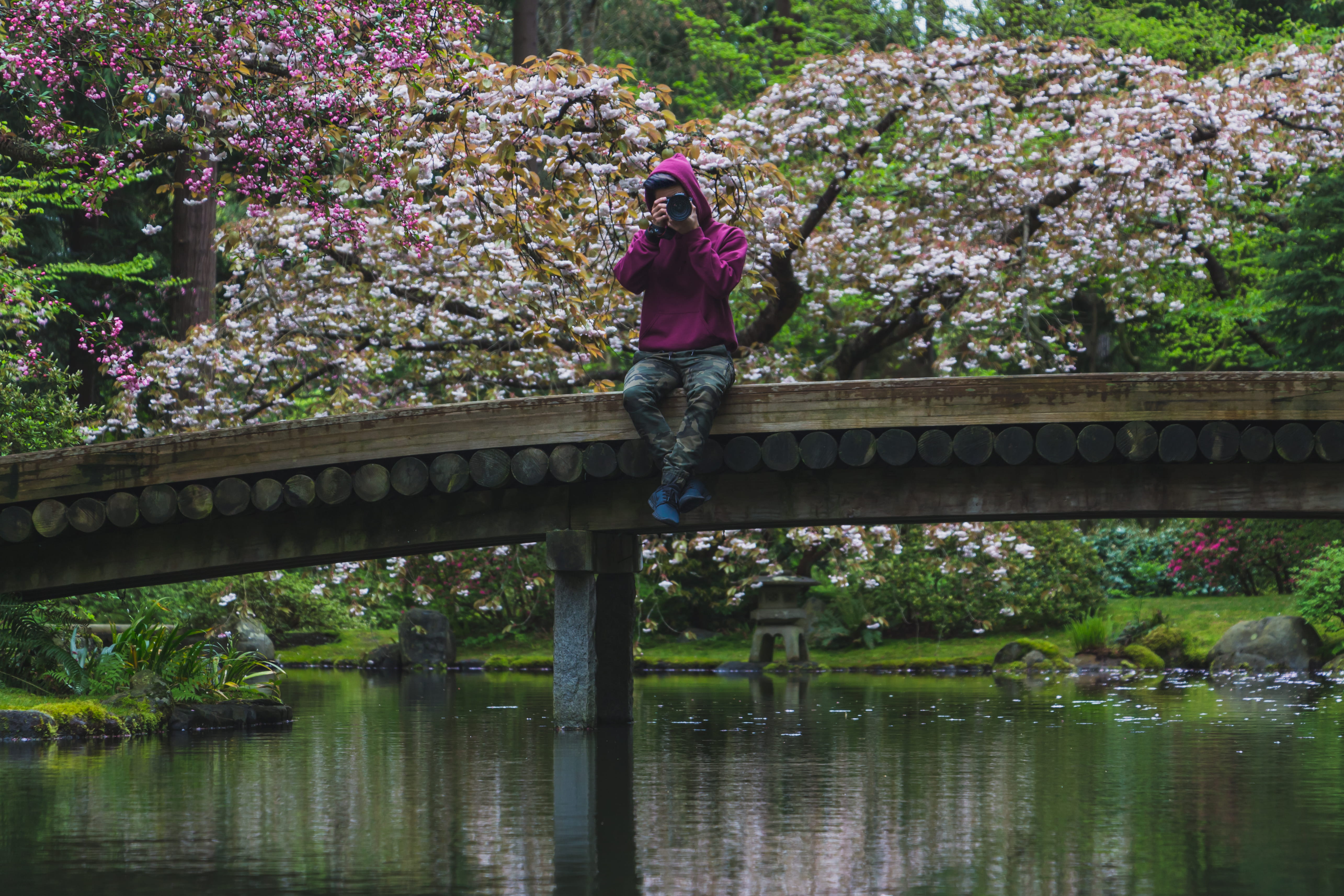beauty in nature, footbridge, bridge - man made structure, outdoors, one person, growth, the university of british columbia, plant, tree, nitobe, ubc, architecture, HD Wallpaper