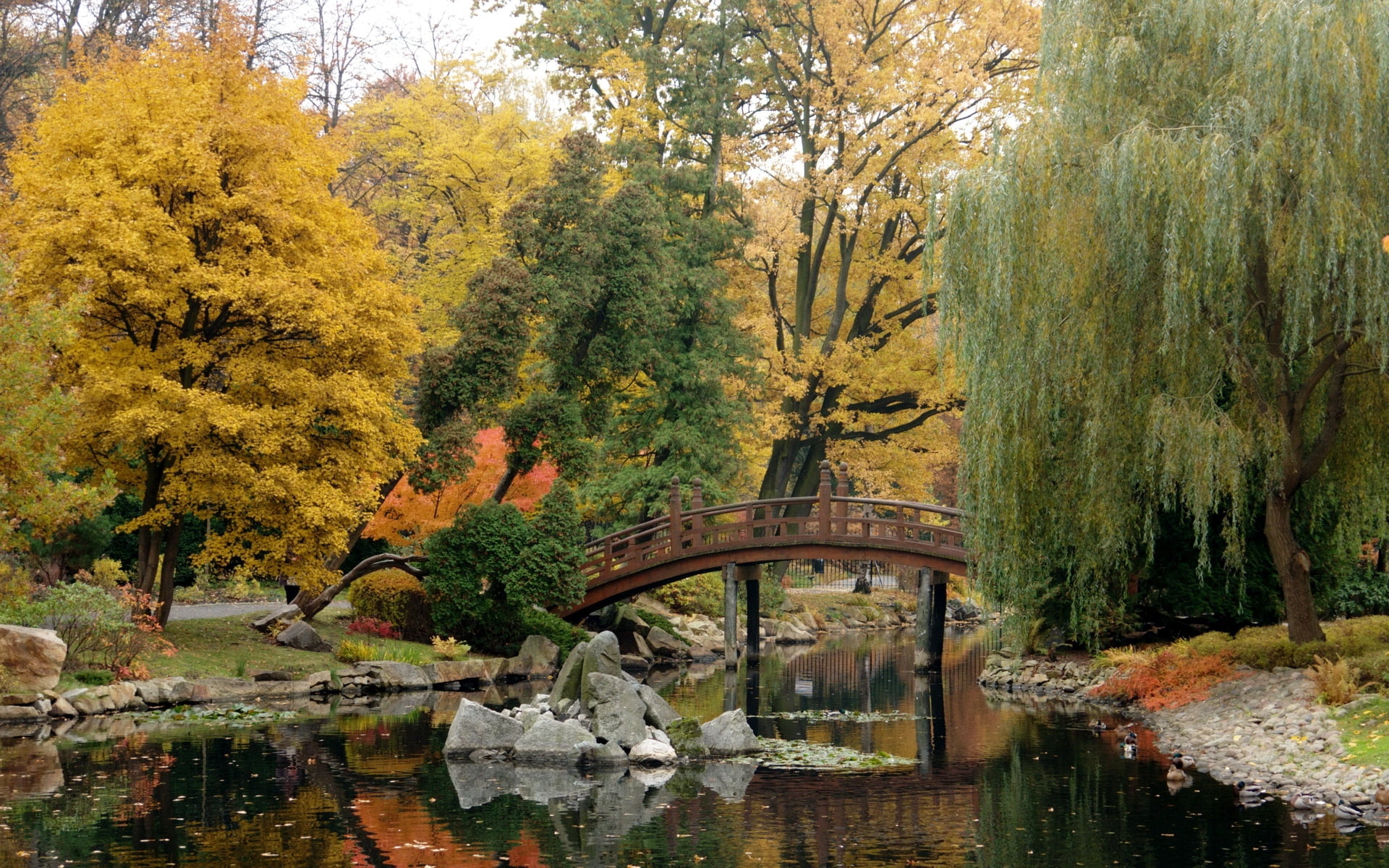 manhattan - New York City, change, arch bridge, pond, willow, color Image, waterfront, tranquility, stones, autumn collection, bridge - Man Made Structure, HD Wallpaper