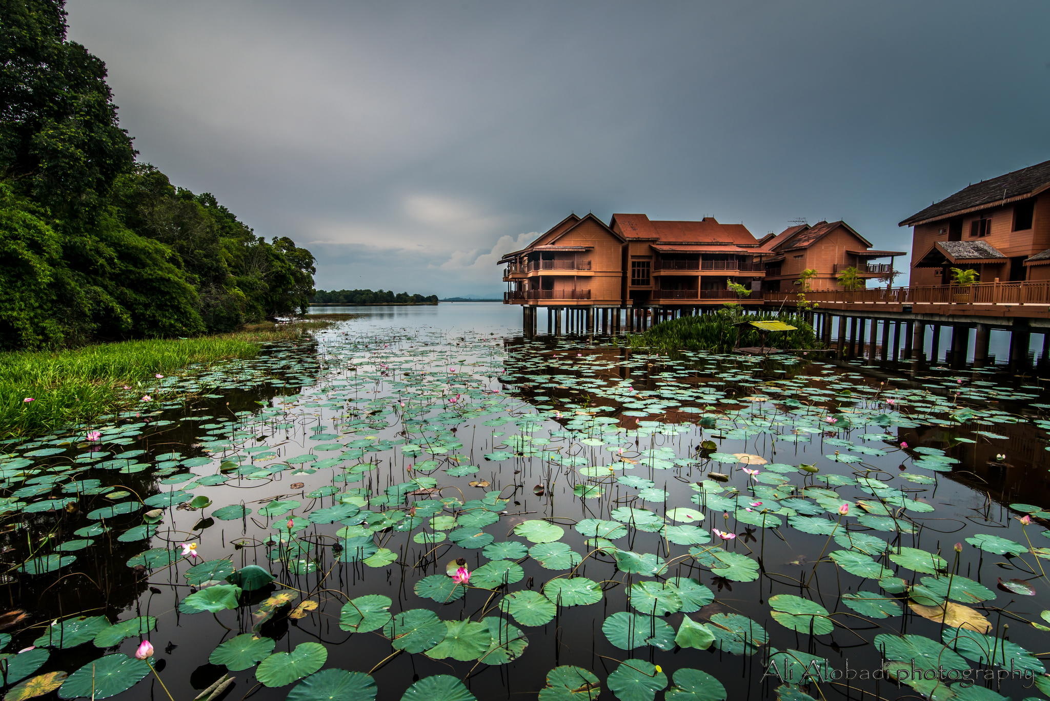 nature, lake, house, landscape, pier, water, lily pads, 1080P, overcast, HD Wallpaper