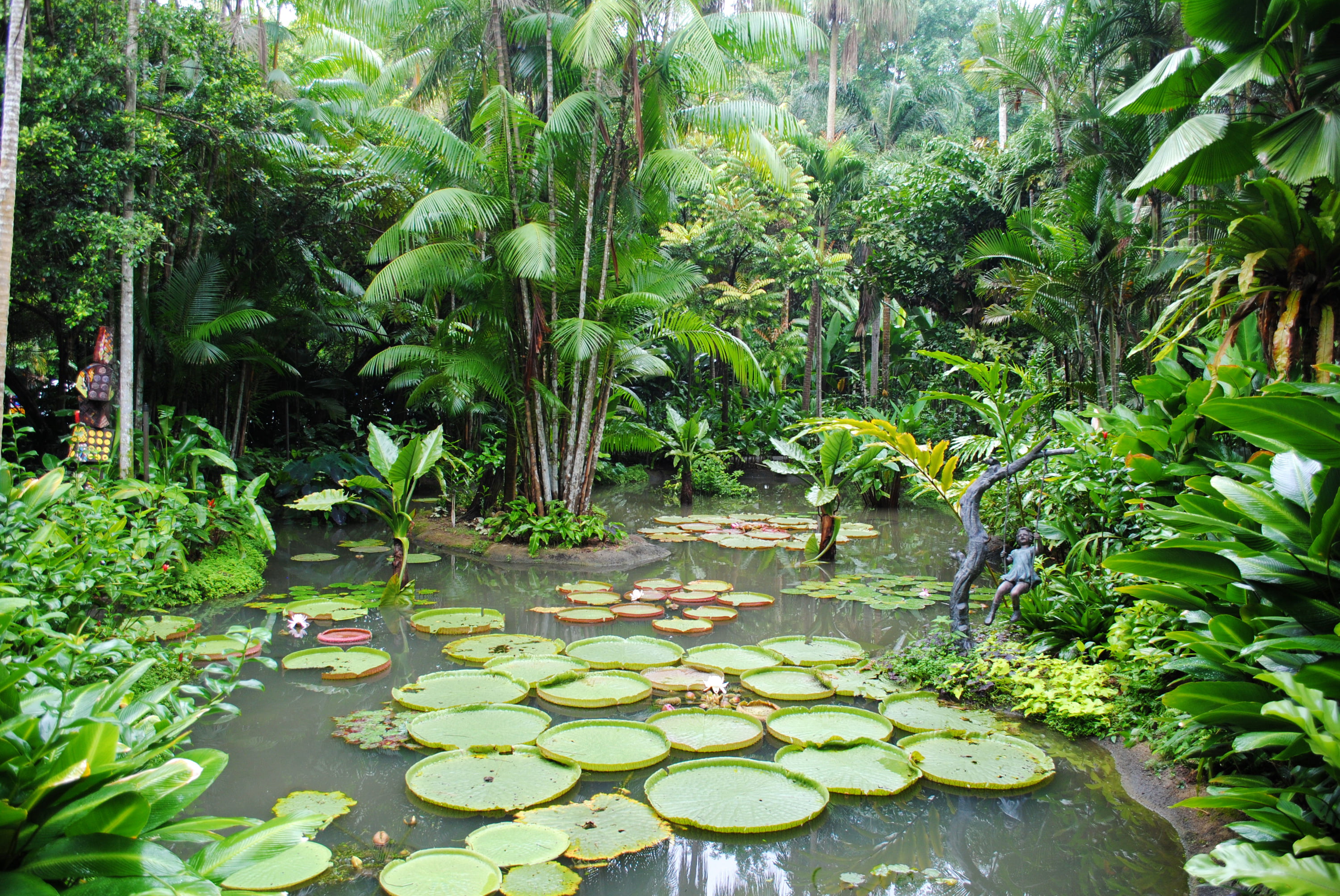 pond, water, tree, flower, floating on water, trees, no people, garden, the bushes, day, nature, floating, water lily, beauty in nature, plant, tranquility, HD Wallpaper