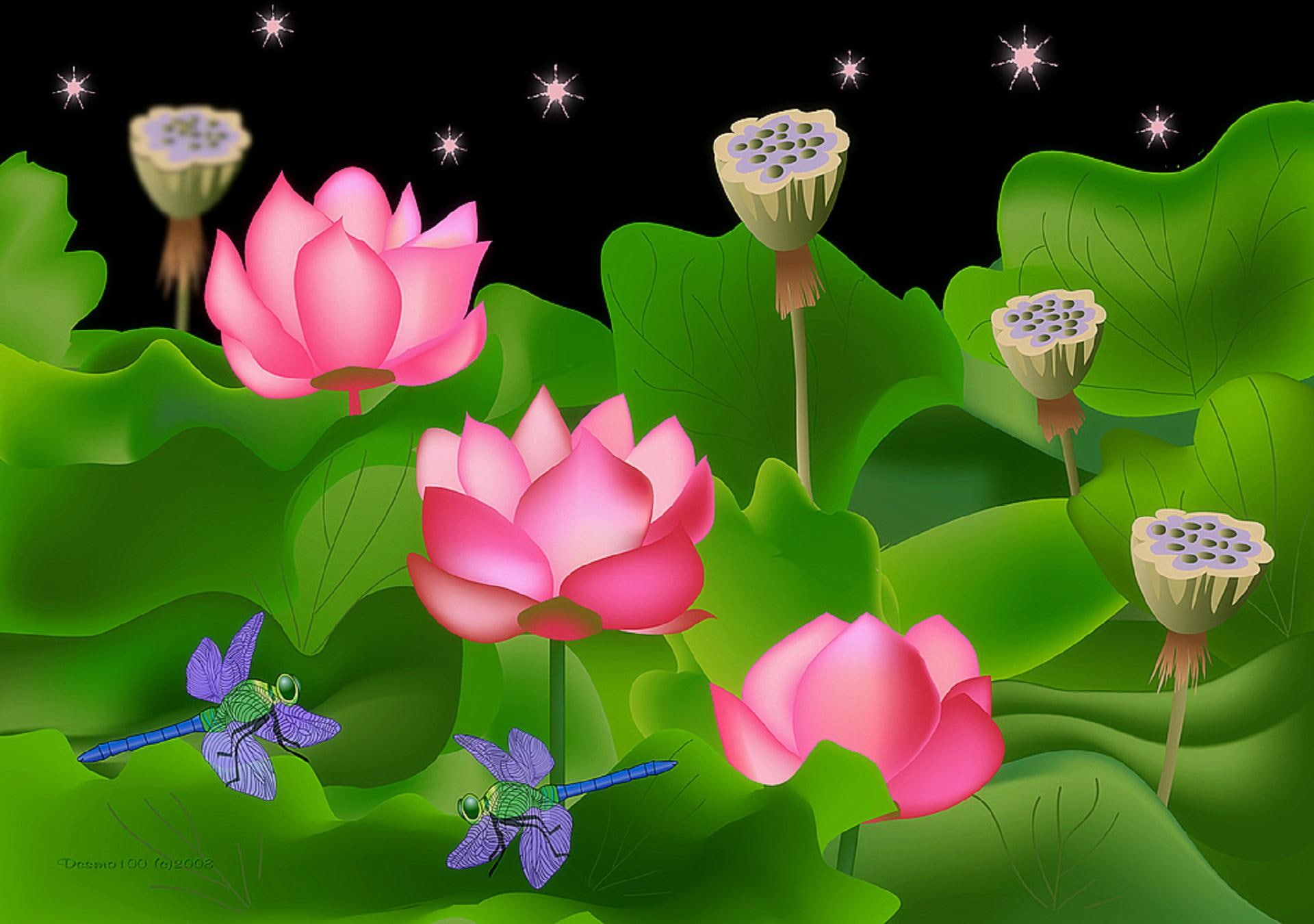 lovely, pink, water-lilies, 1080P, animals, creative-pre--made, digital-art, pretty, vector, softness-b, lotus, lotus-pads, pond, HD Wallpaper
