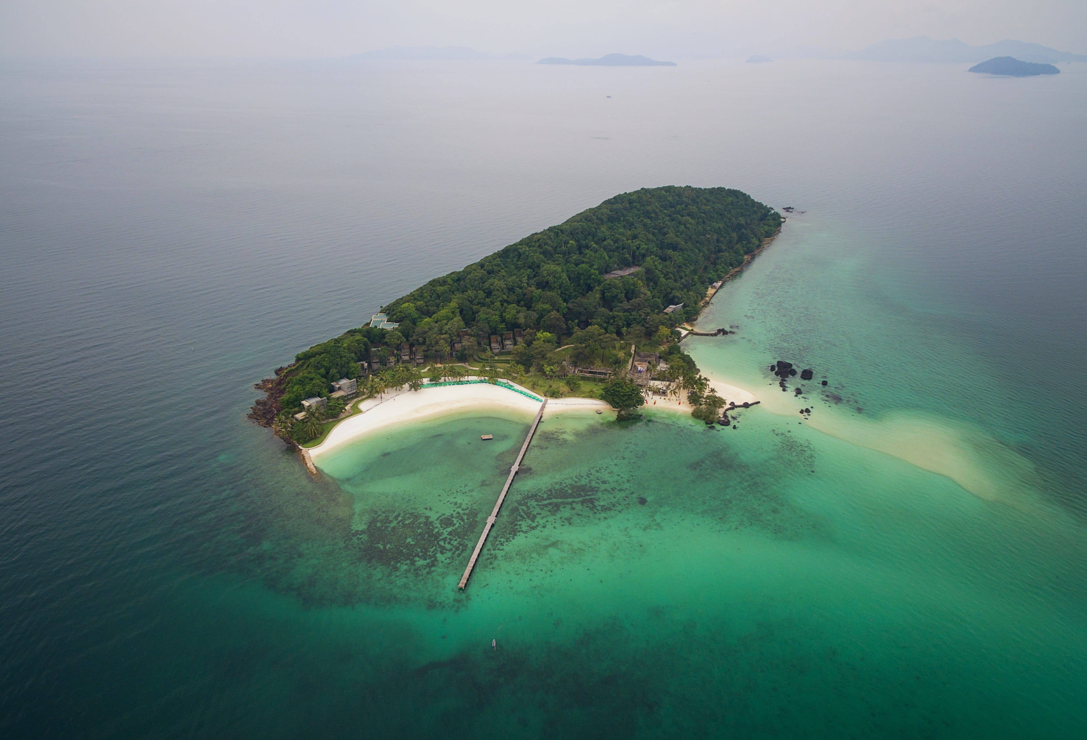 Aerial, phangan, animals in the wild, market, one animal, ocean, 2K, no people, phuket, green color, exotic, sunlight, in the sand, mae, summer, outdoors, HD Wallpaper