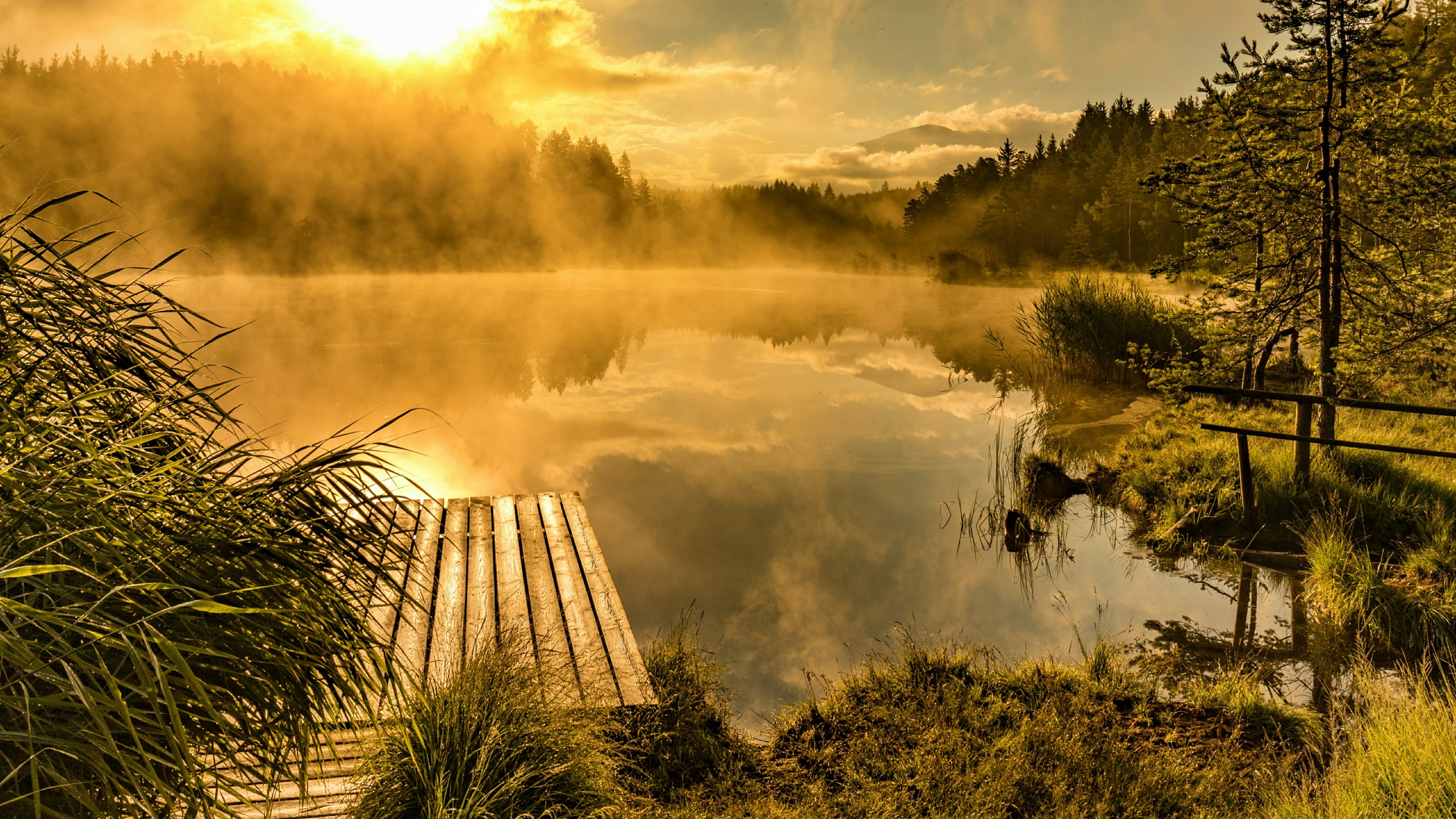 sunlight, 4K, nature, dock, landscape, pier, morning, water, dawn, lake, bank, reflection, wetland, sky, tree, wilderness, HD Wallpaper