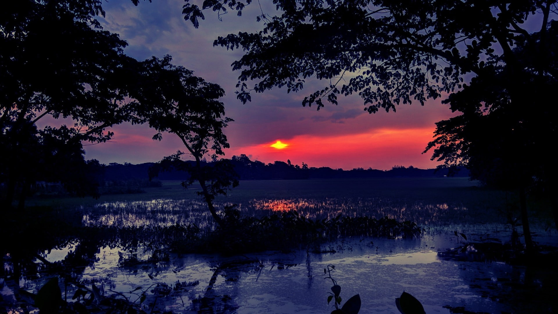 dusk, red sky, sunset, silhouette, landscape, evening, wetland, darkness, 1080P, HD Wallpaper
