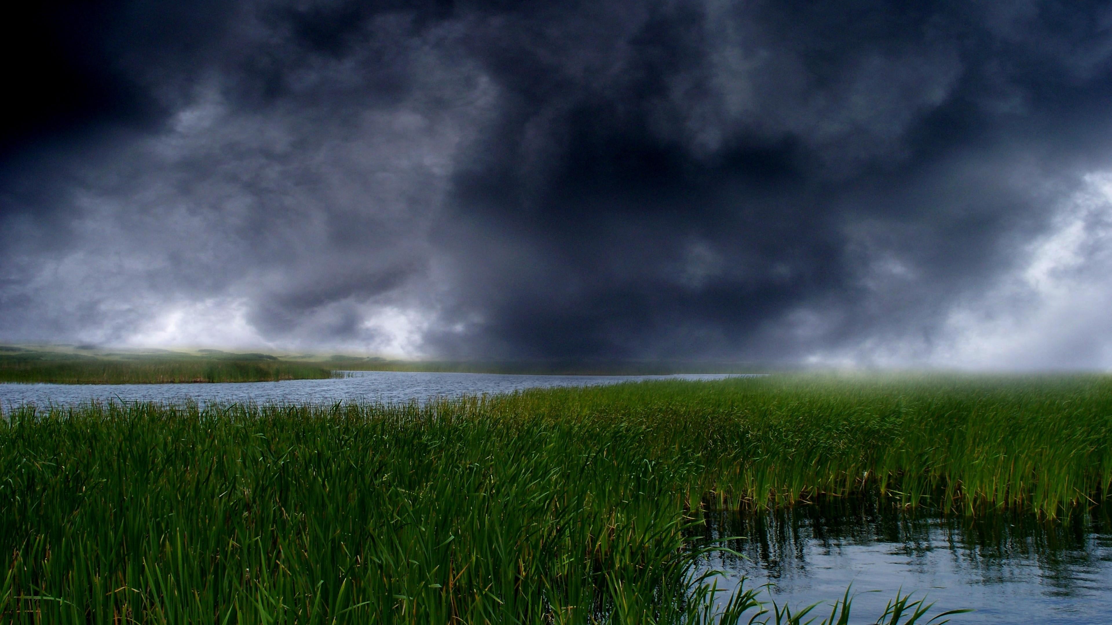 rain, sky, no people, environment, beauty in nature, dark, power in nature, grass, storm, scenics - nature, extreme weather, outdoors, torrential rain, HD Wallpaper
