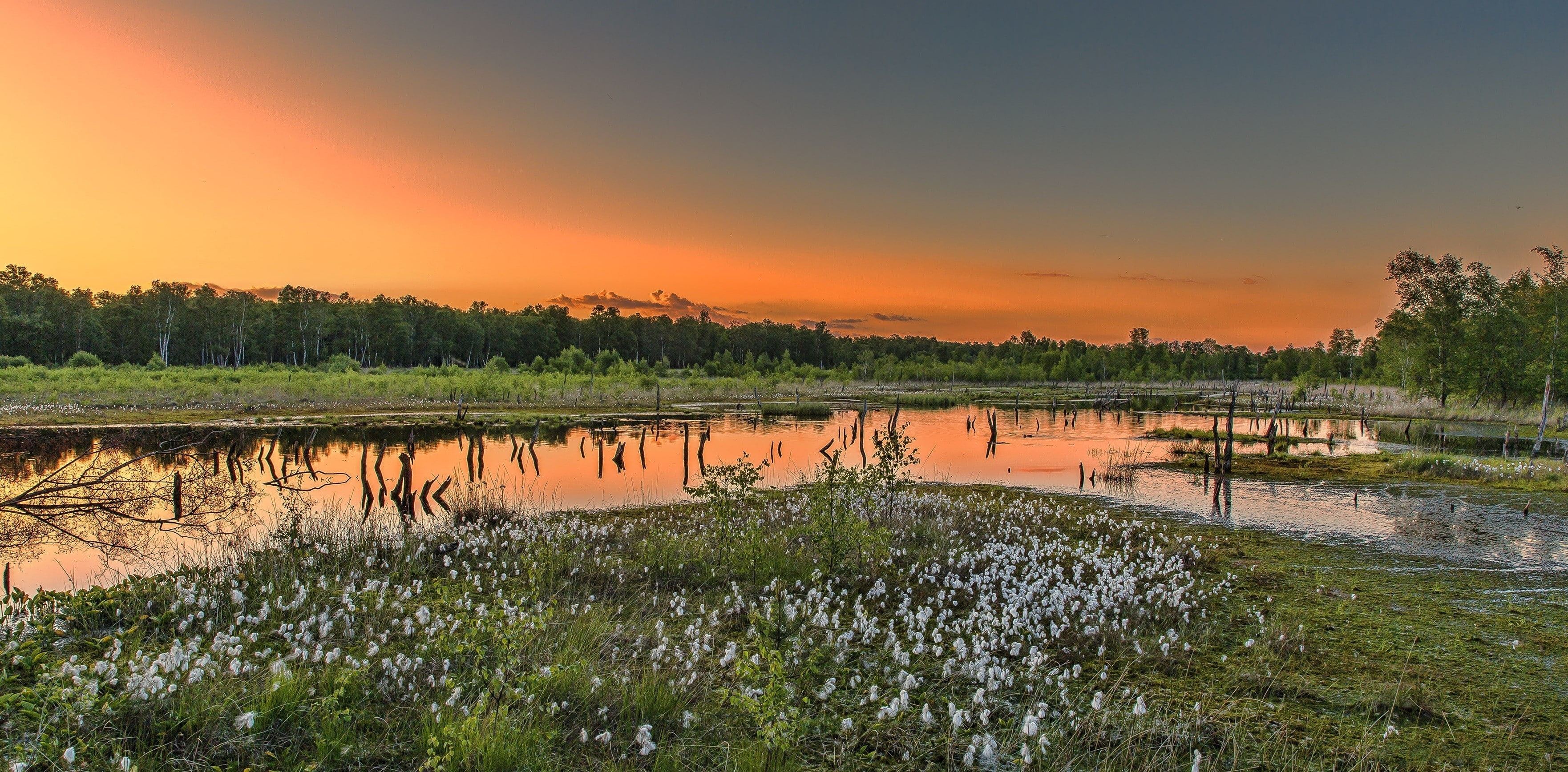 lagoon, nature, tranquility, no people, sunset, reflection, sky, wetland, landscape, scenics - nature, plant, tree, grass, beauty in nature, orange color, HD Wallpaper