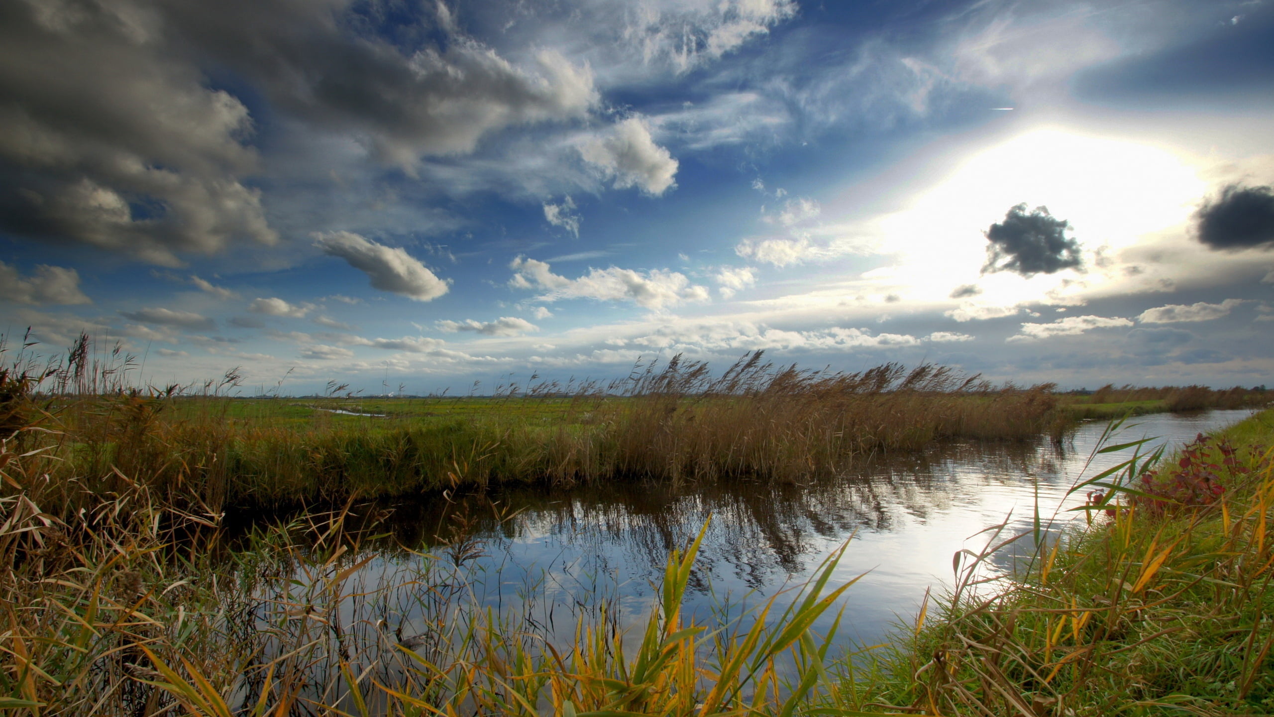 backgrounds, marsh, swamp, scenics - nature, water, tranquil Scene, plant, cloudscape, no People, landscape, lake, day, dusk, idyllic, green, green Color, HD Wallpaper
