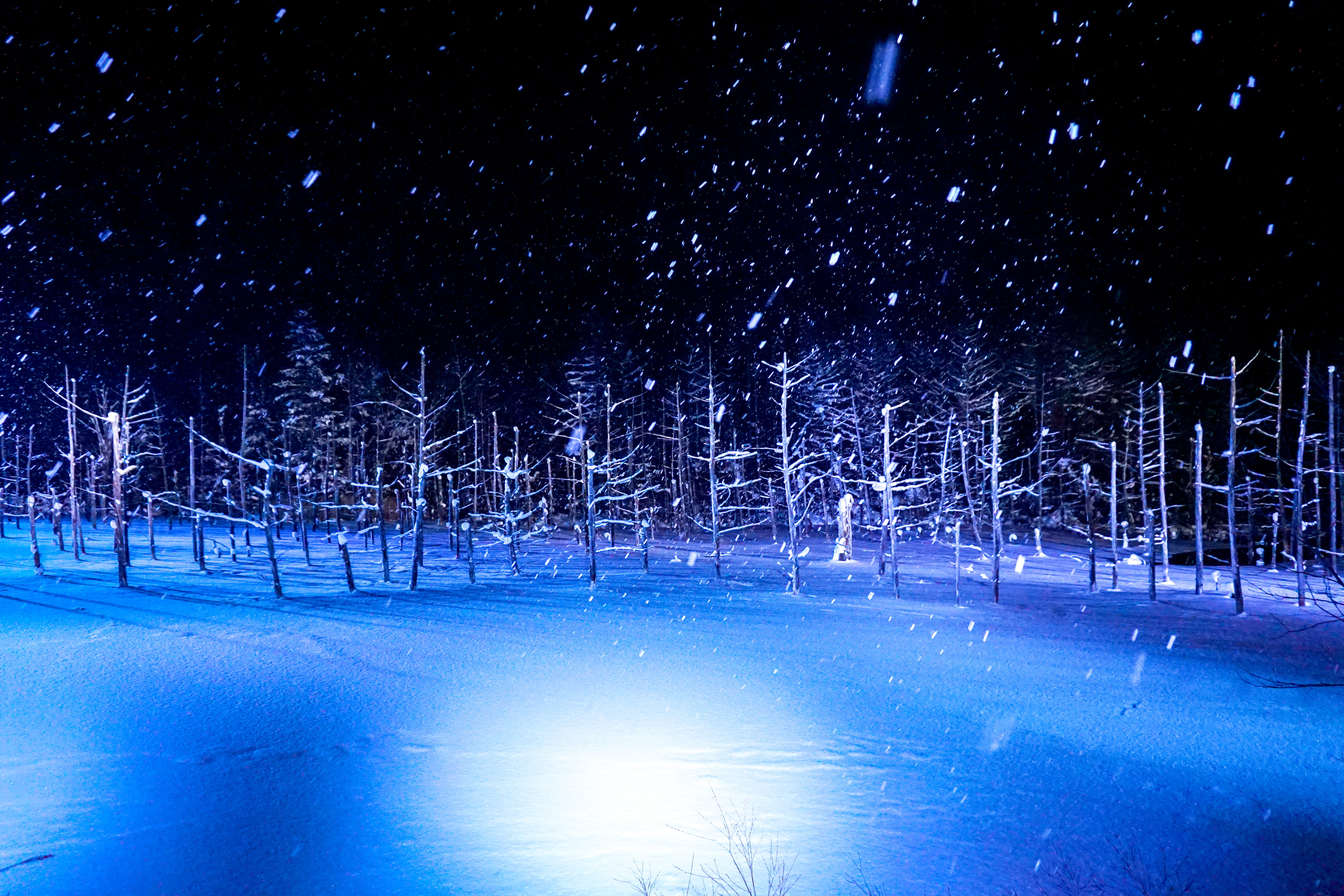 snow, japan, cold temperature, winter, environment, hokkaido, snowing, illuminated, biei, 5K, white color, plant, bluepond, tranquil scene, covering, night, HD Wallpaper