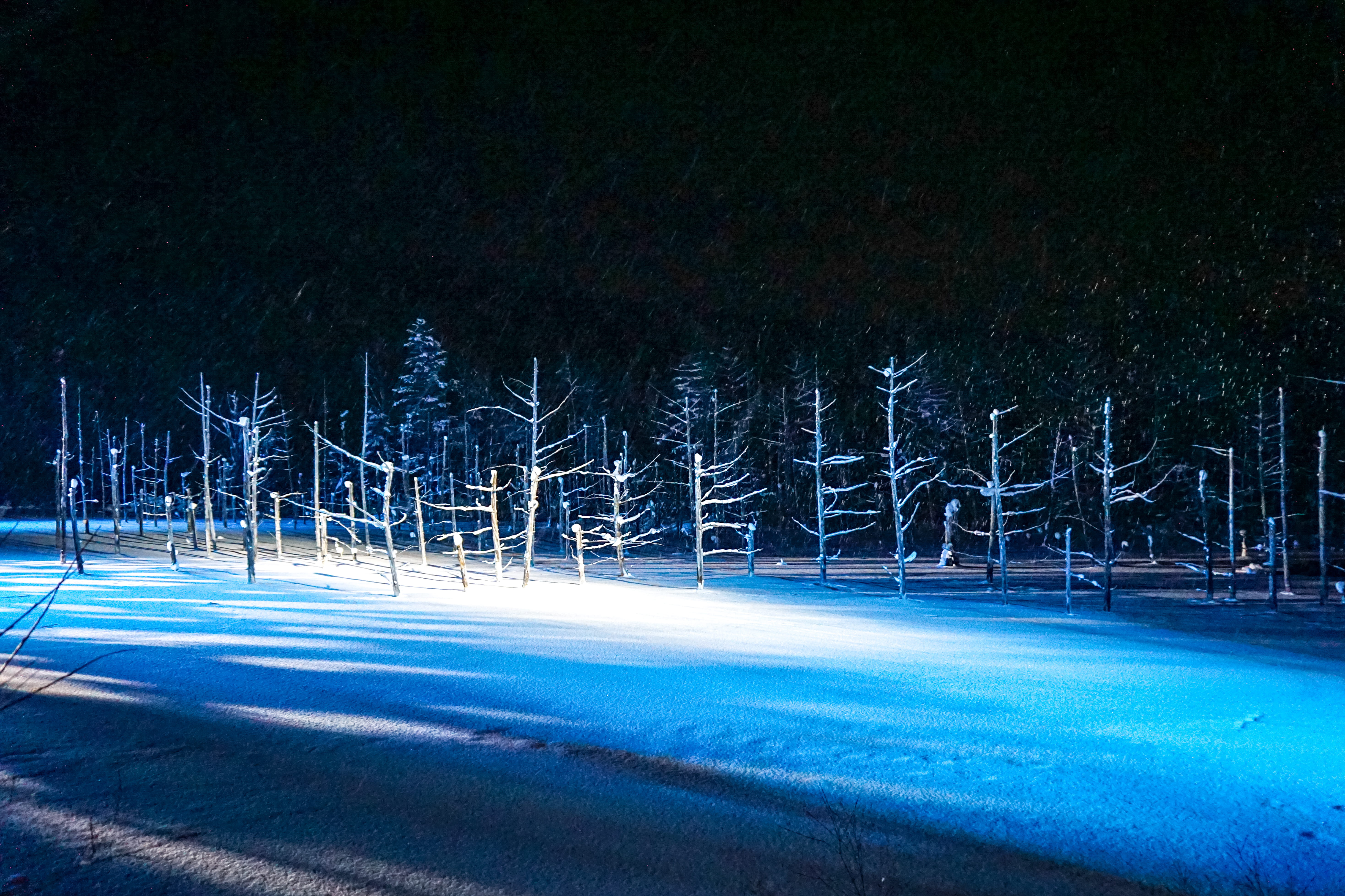 japan, snow, road, land, blue pond, city, night, nature, long exposure, plant, beauty in nature, illuminated, winter, no people, lake, hokkaido, biei, tree, HD Wallpaper