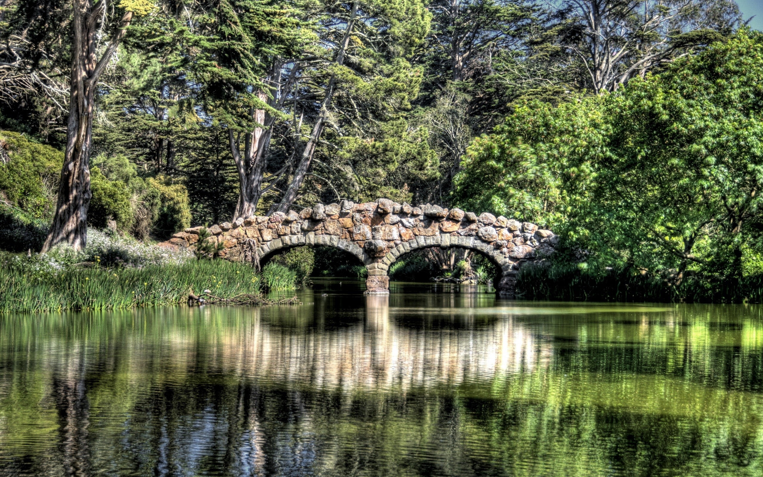 landscape, tranquility, old, stone, water, bas-relief Panels, arch bridge, ancient, plant, outdoors, connection, stone Bridge, summer, trees, scenics, tree, HD Wallpaper