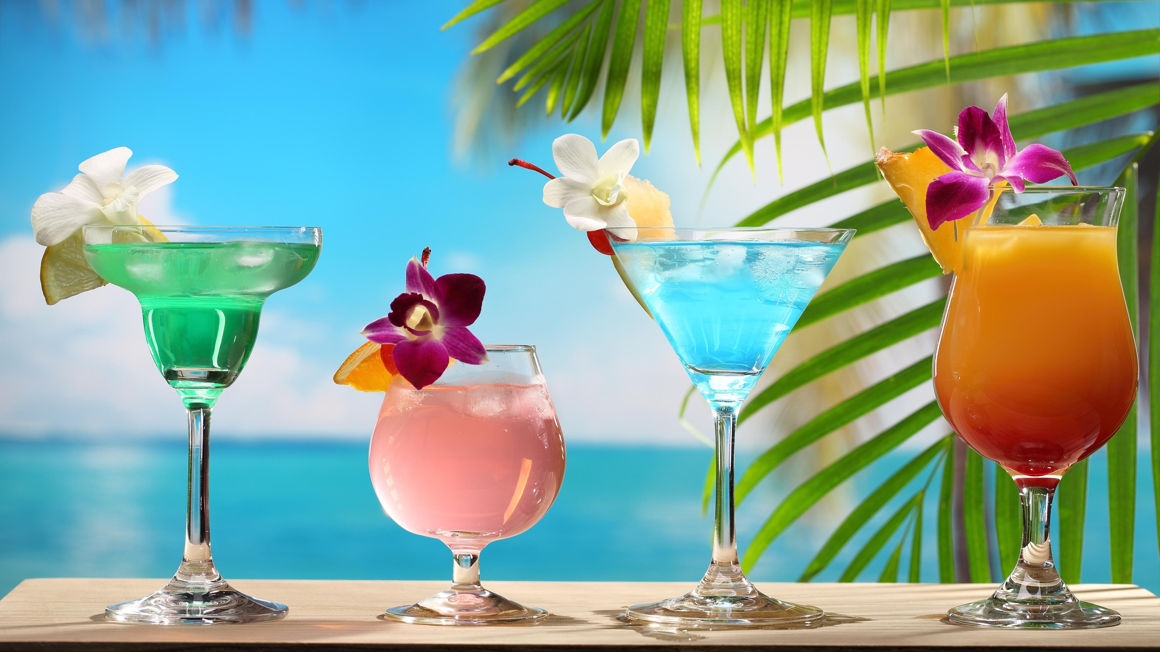 Colors, Flowers, Cups, Cocktails, Different, 4K, Tropical, Glass, HD Wallpaper