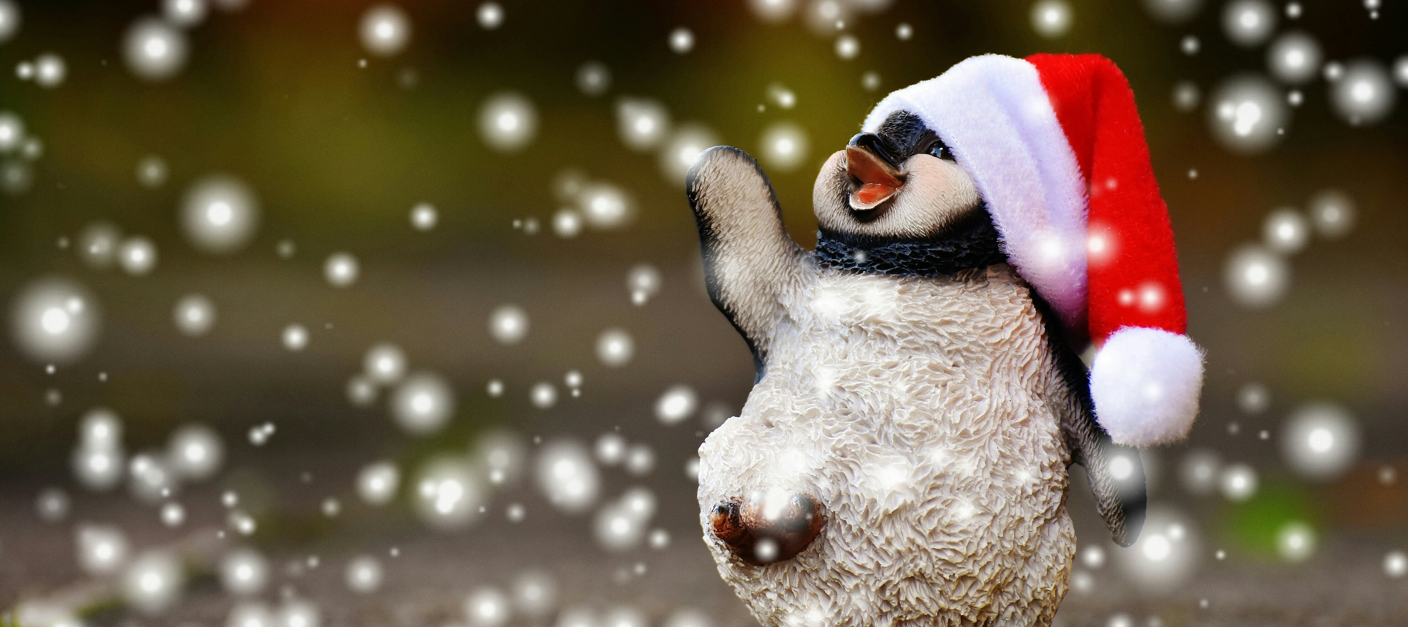 daytime, vertebrate, outdoors, mouth open, santa hat, animal themes, funny, snow, santa, adult, night, nature, animal wildlife, beak, only women, selective focus, HD Wallpaper