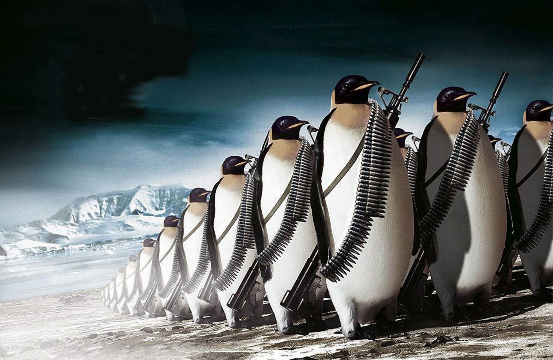 day, wildlife, motion, Ice, landscape, land, travel destinations, representation, full length, penguins, Penguin, 720P, animal, sea, Other, HD Wallpaper