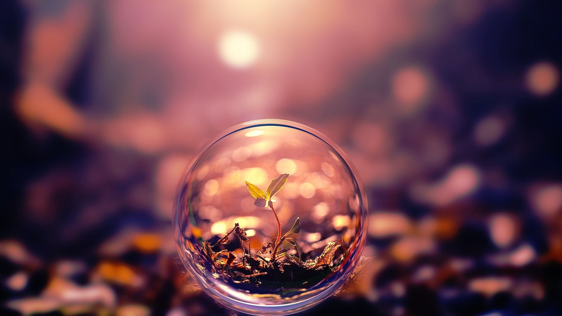 leafed, transparent, sky, beauty in nature, drink, sphere, green, glass - material, shiny, plants, plant, focus on foreground, no people, 1080P, shape, HD Wallpaper