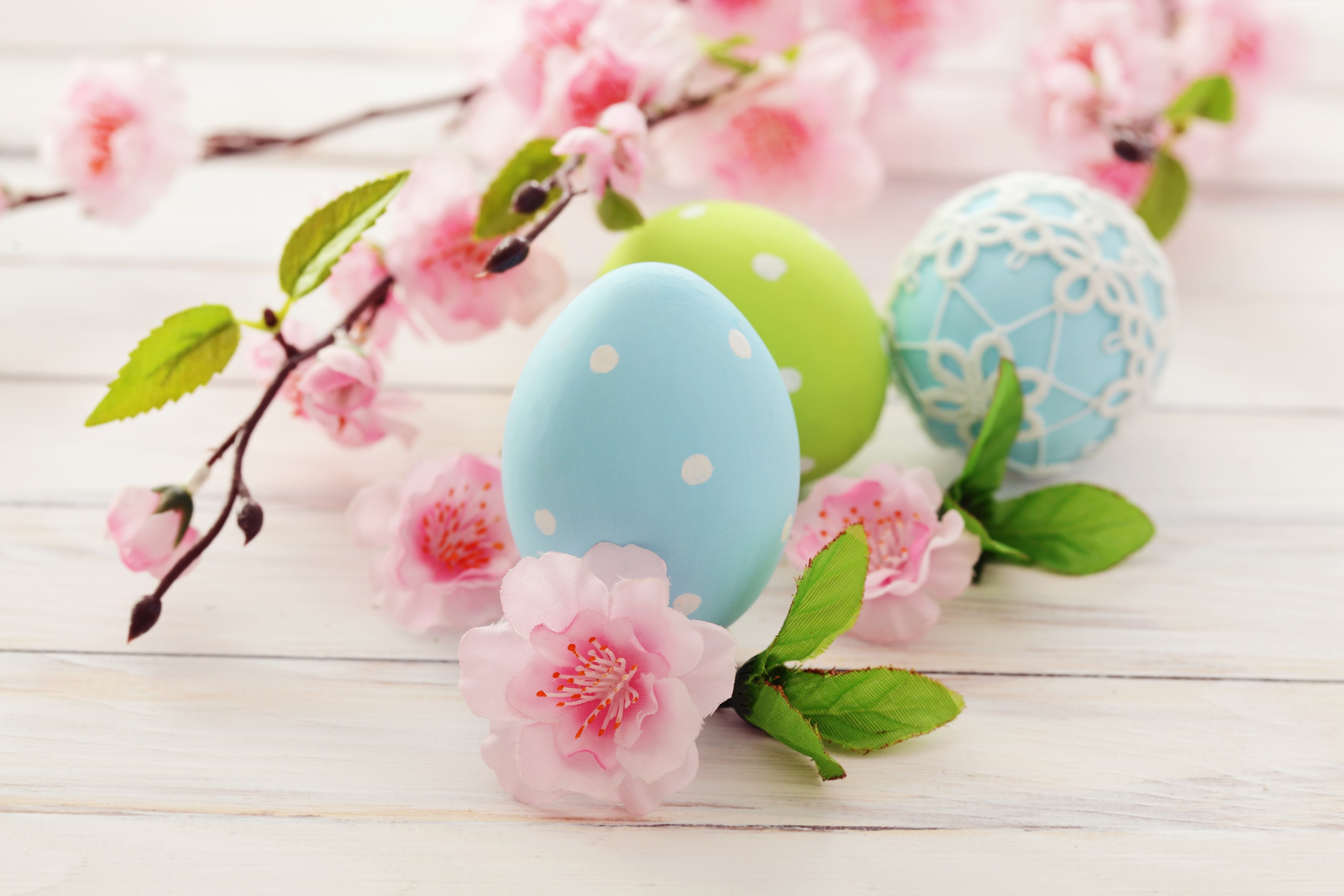5K, Easter, branch, flowers, eggs, HD Wallpaper