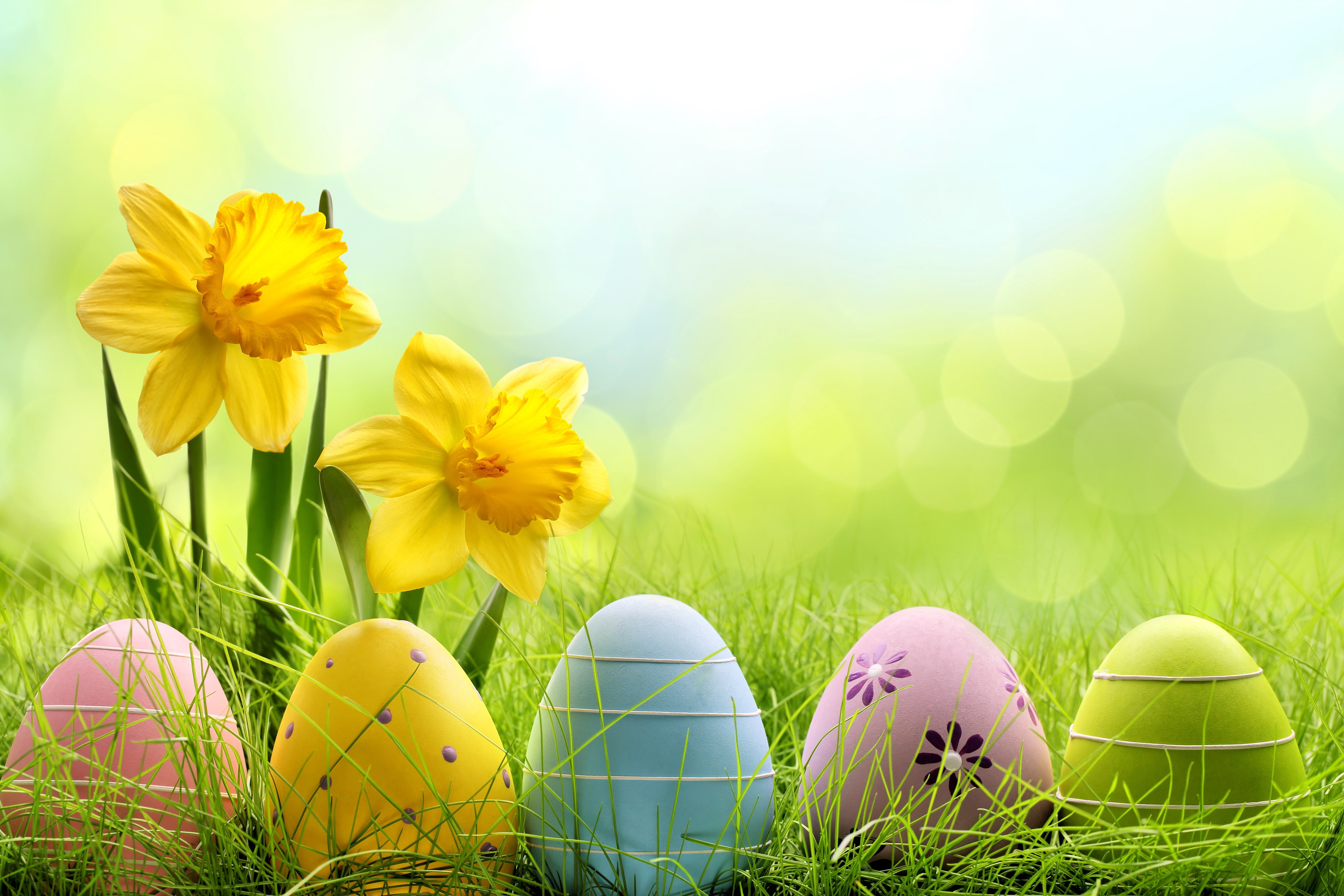 Easter, eggs, flowers, 5K, spring, basket, HD Wallpaper