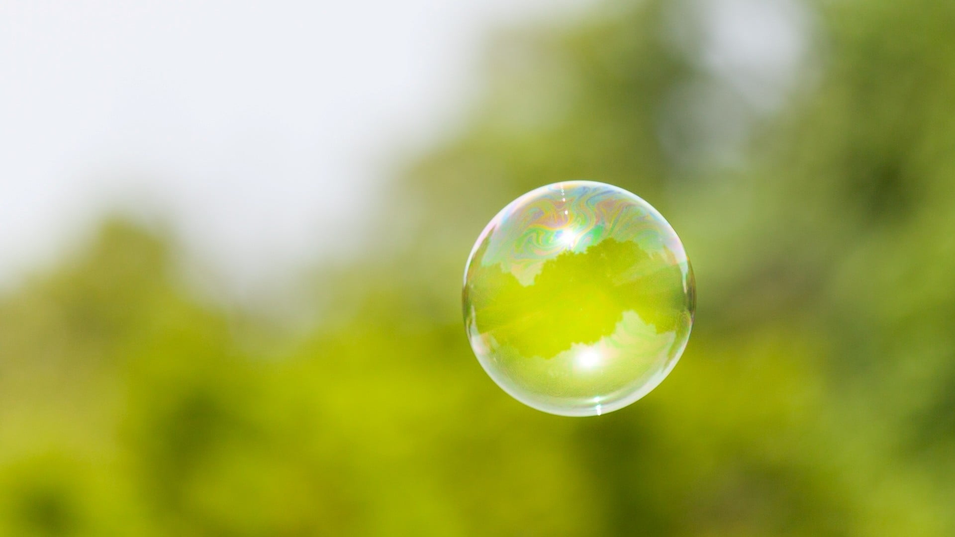 plant, 1080P, growth, transparent, outdoors, no people, bubble, floating, fragility, green color, day, nature, focus on foreground, environment, focused, HD Wallpaper
