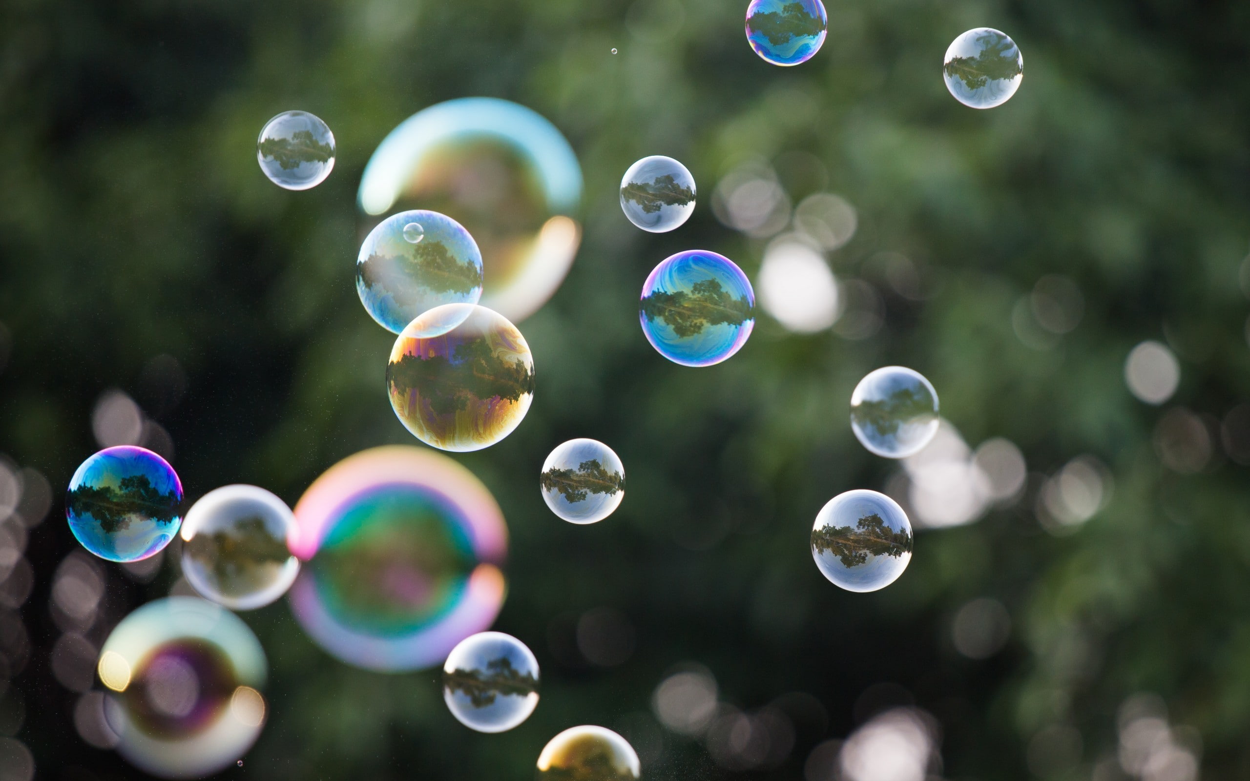 flying, bubble, sphere, reflection, blowing, soap sud, day, bubbles, transparent, nature, outdoors, purity, no people, focus on foreground, fragility, mid-air, HD Wallpaper